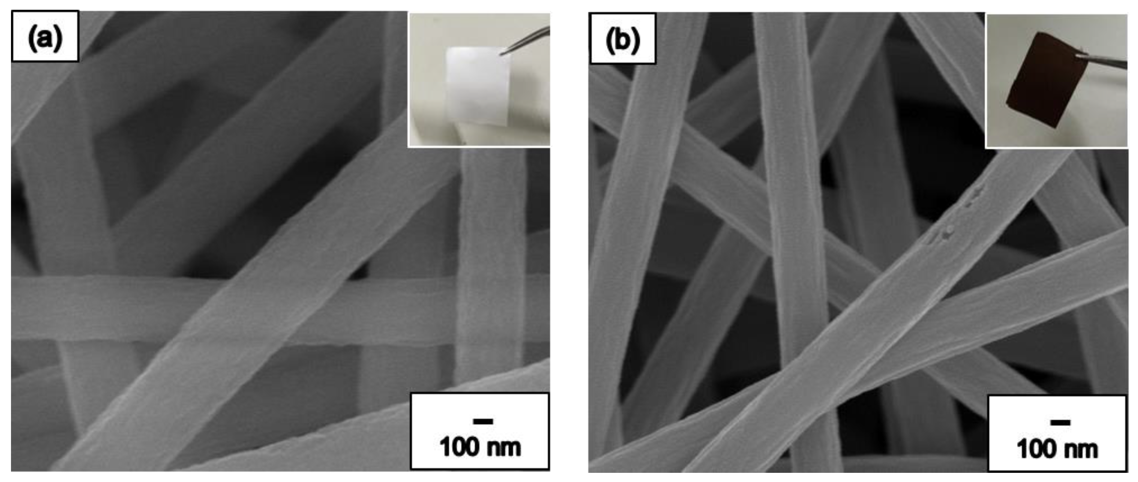 Nanomaterials 09 01383 g004