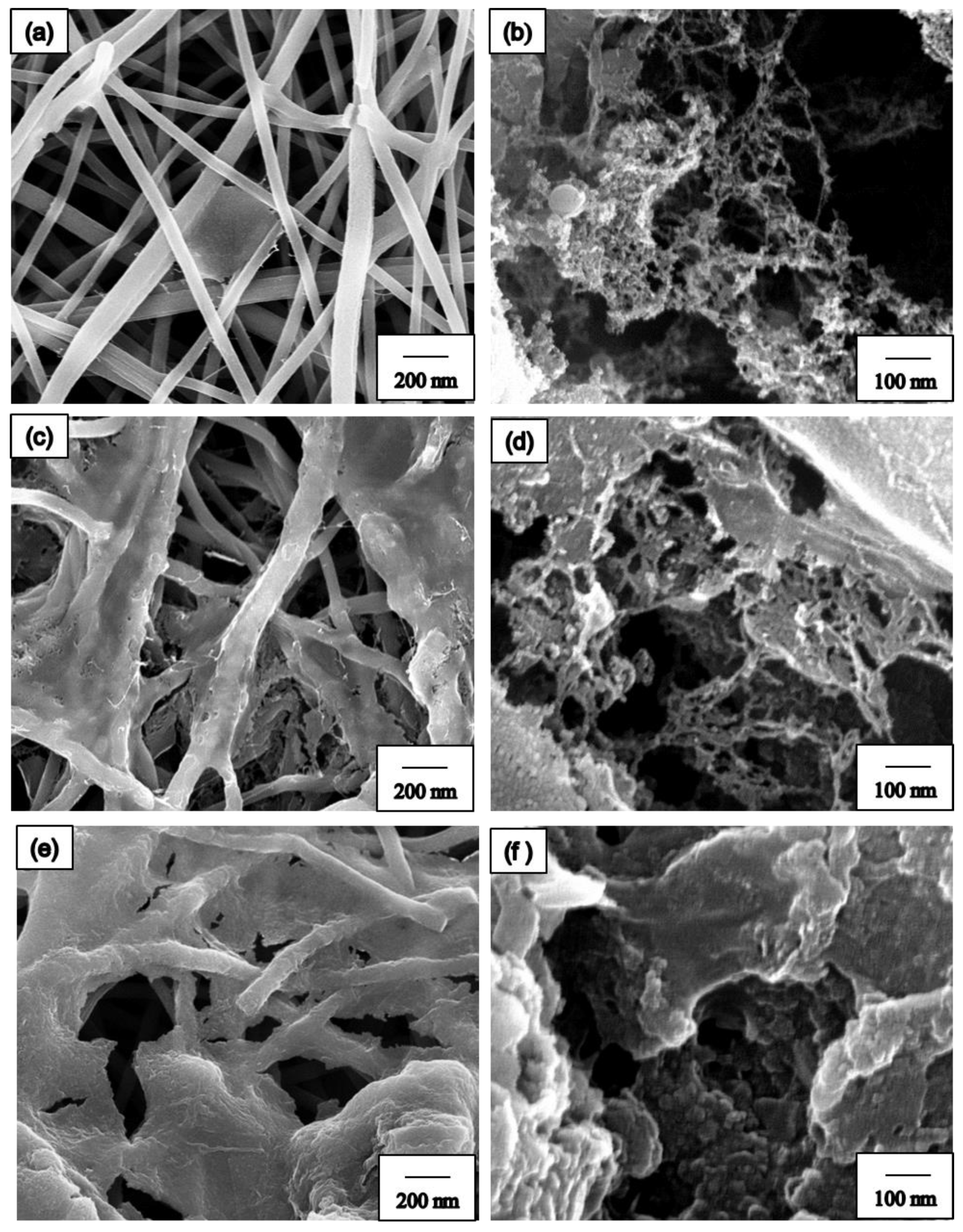 Nanomaterials 09 01383 g005