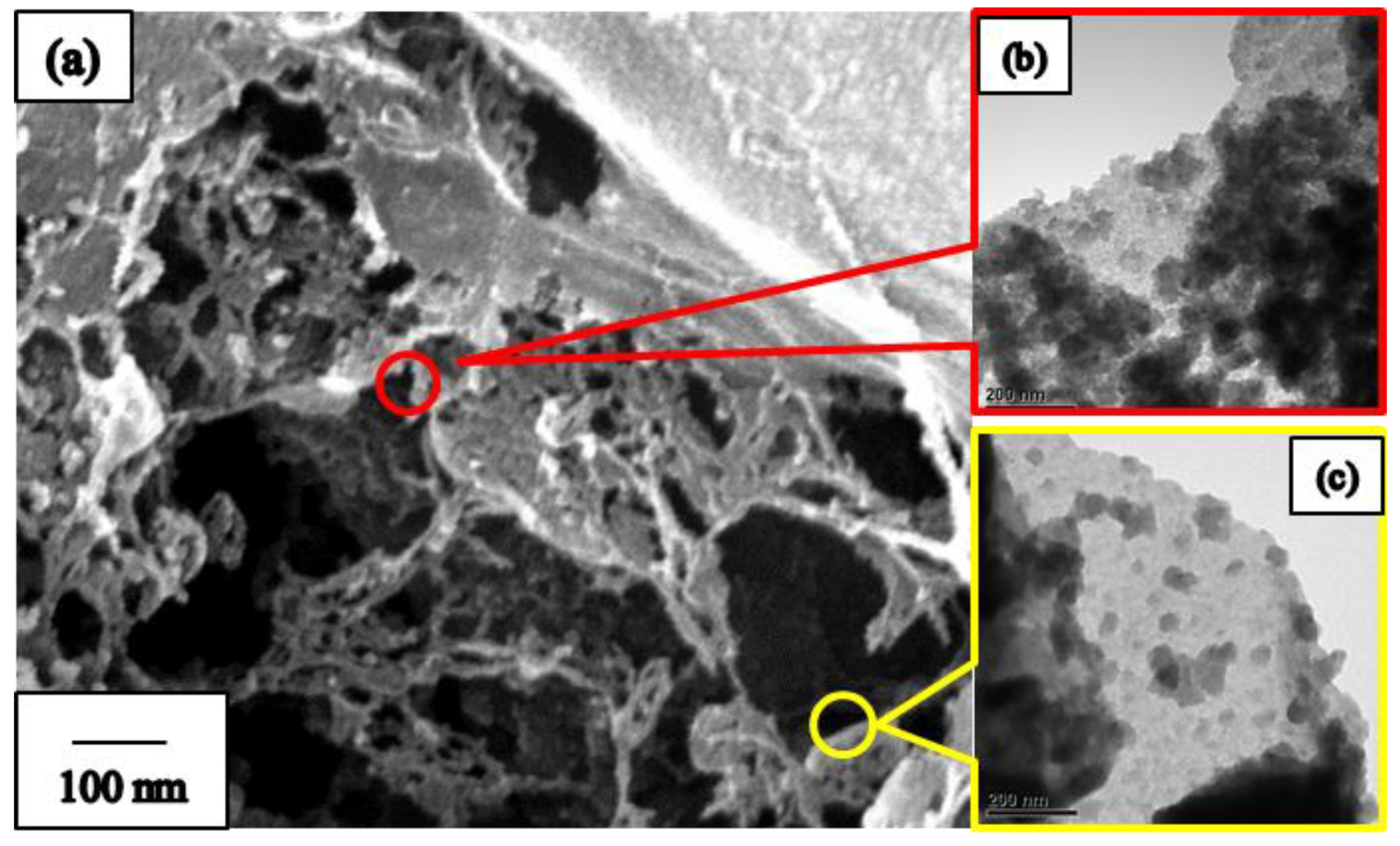 Nanomaterials 09 01383 g006