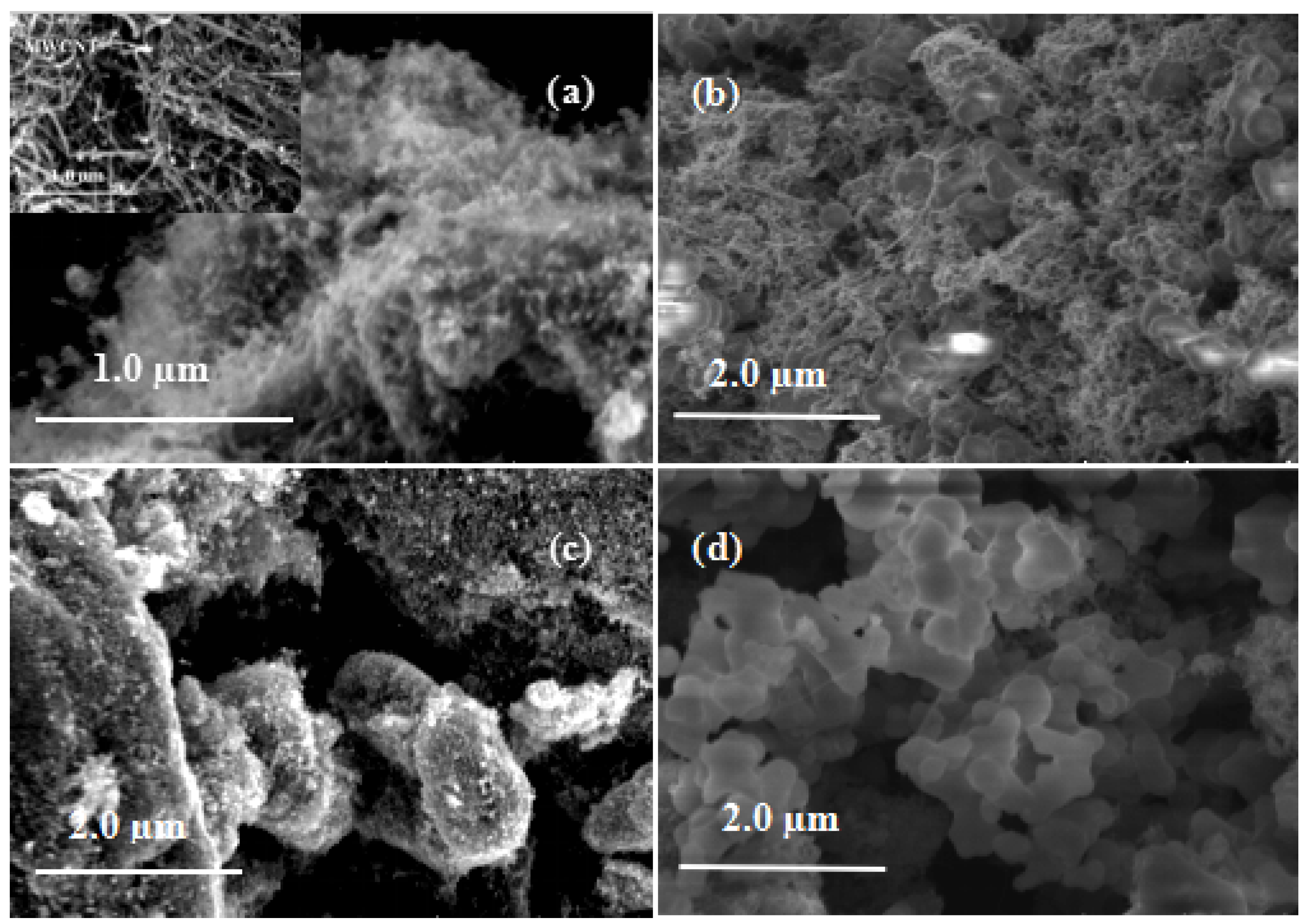 Nanomaterials 09 01388 g003