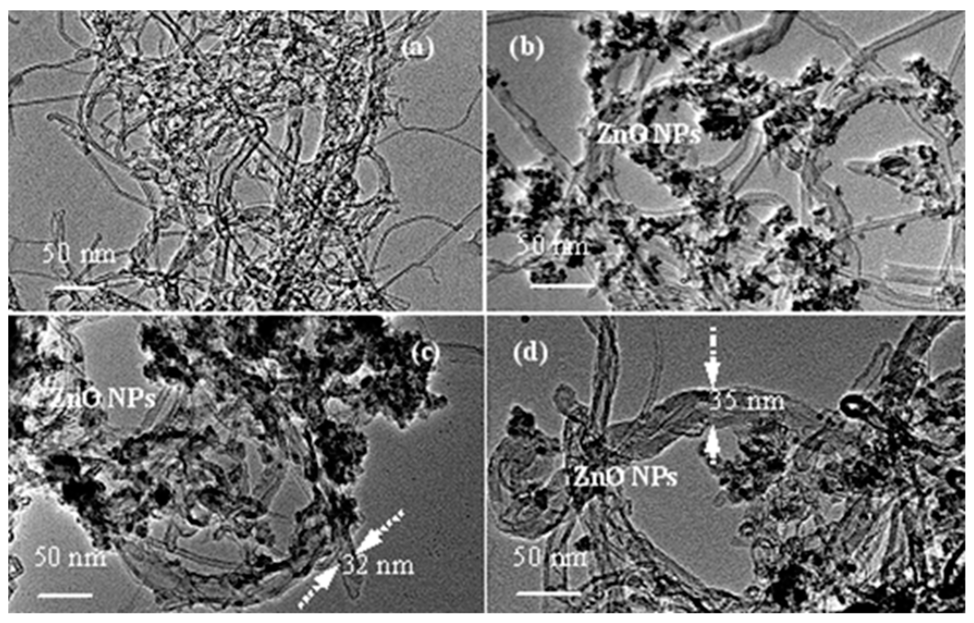 Nanomaterials 09 01388 g004