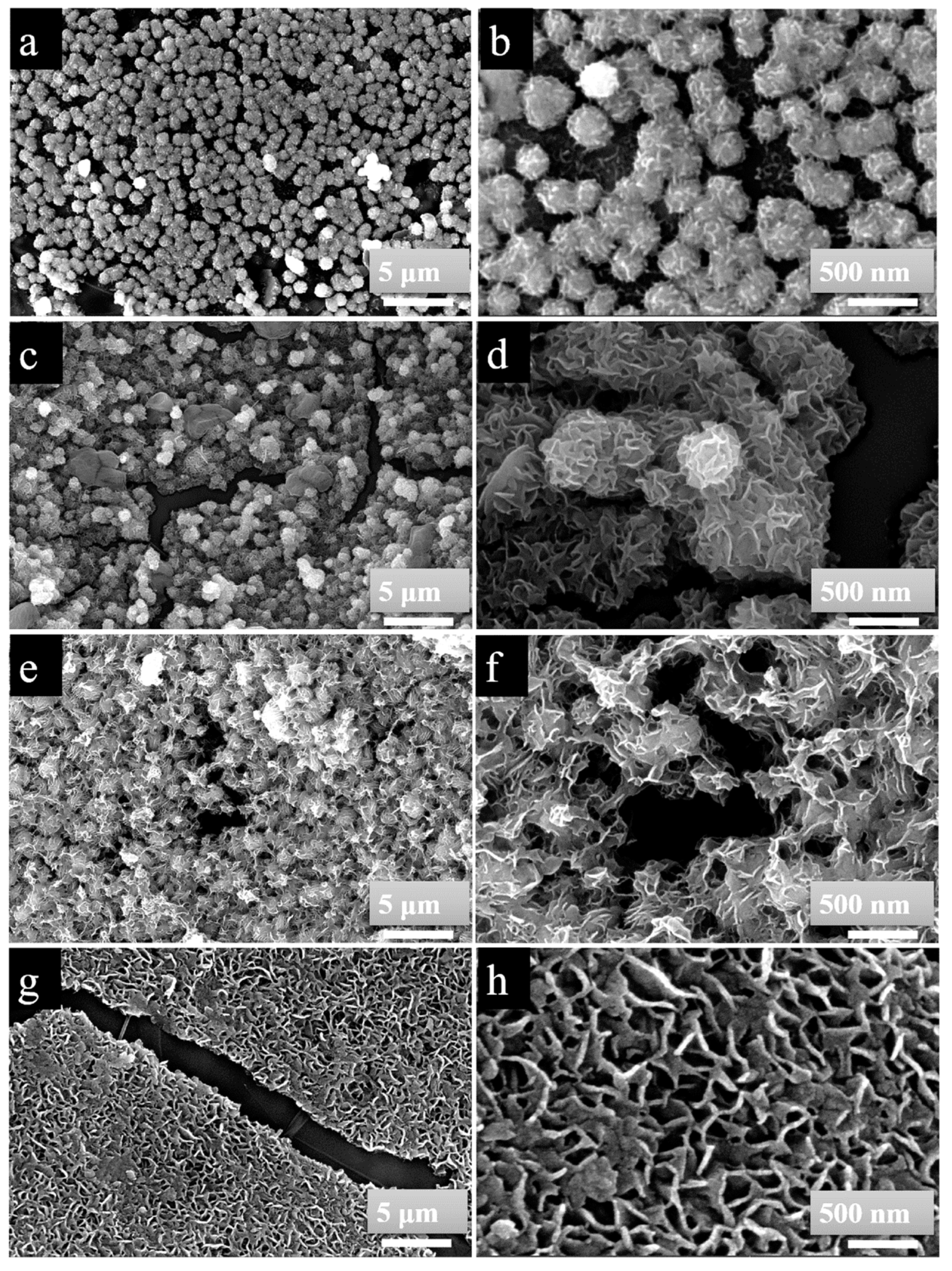 Nanomaterials 09 01403 g003