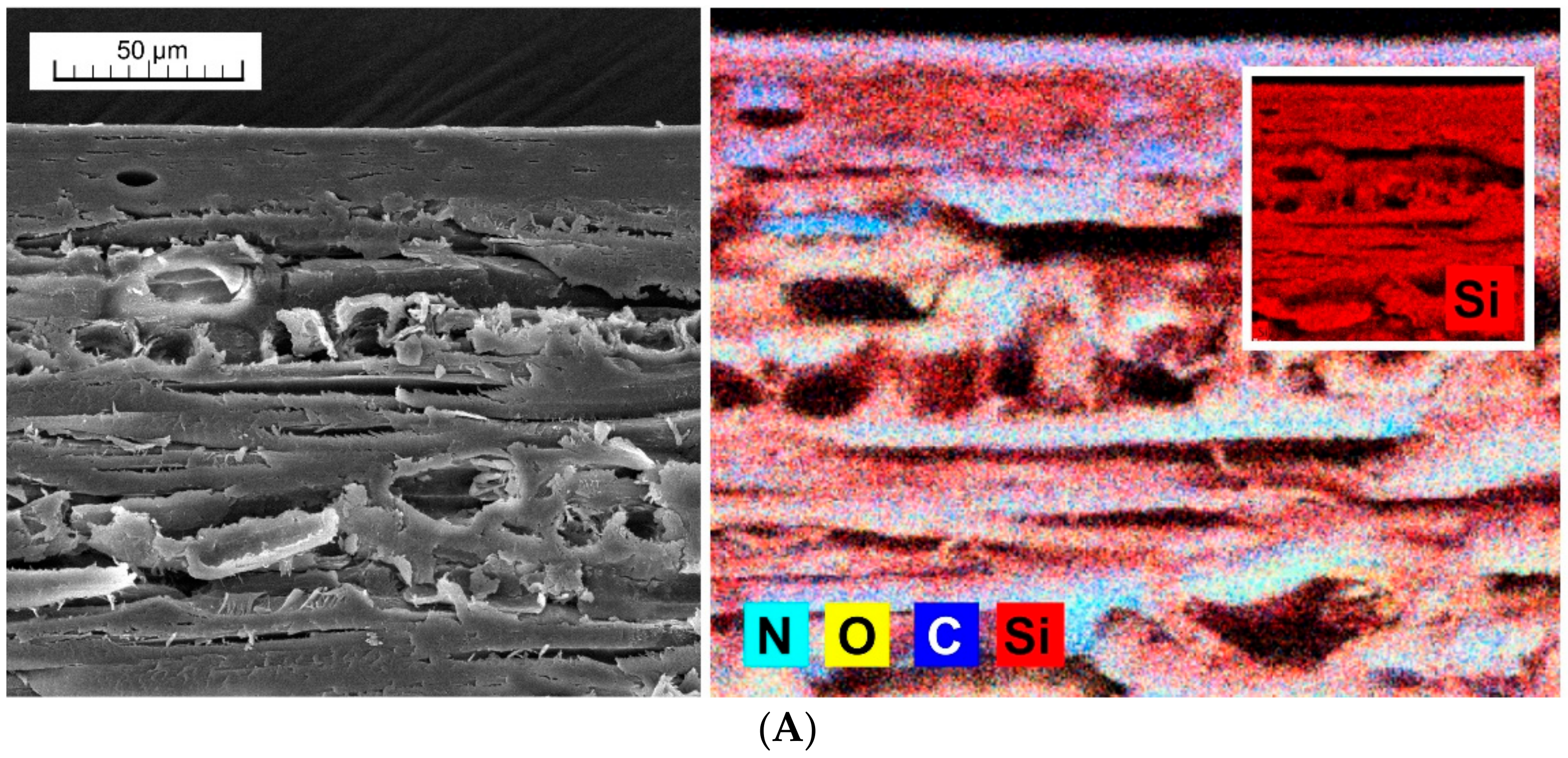Nanomaterials 09 01568 g008a