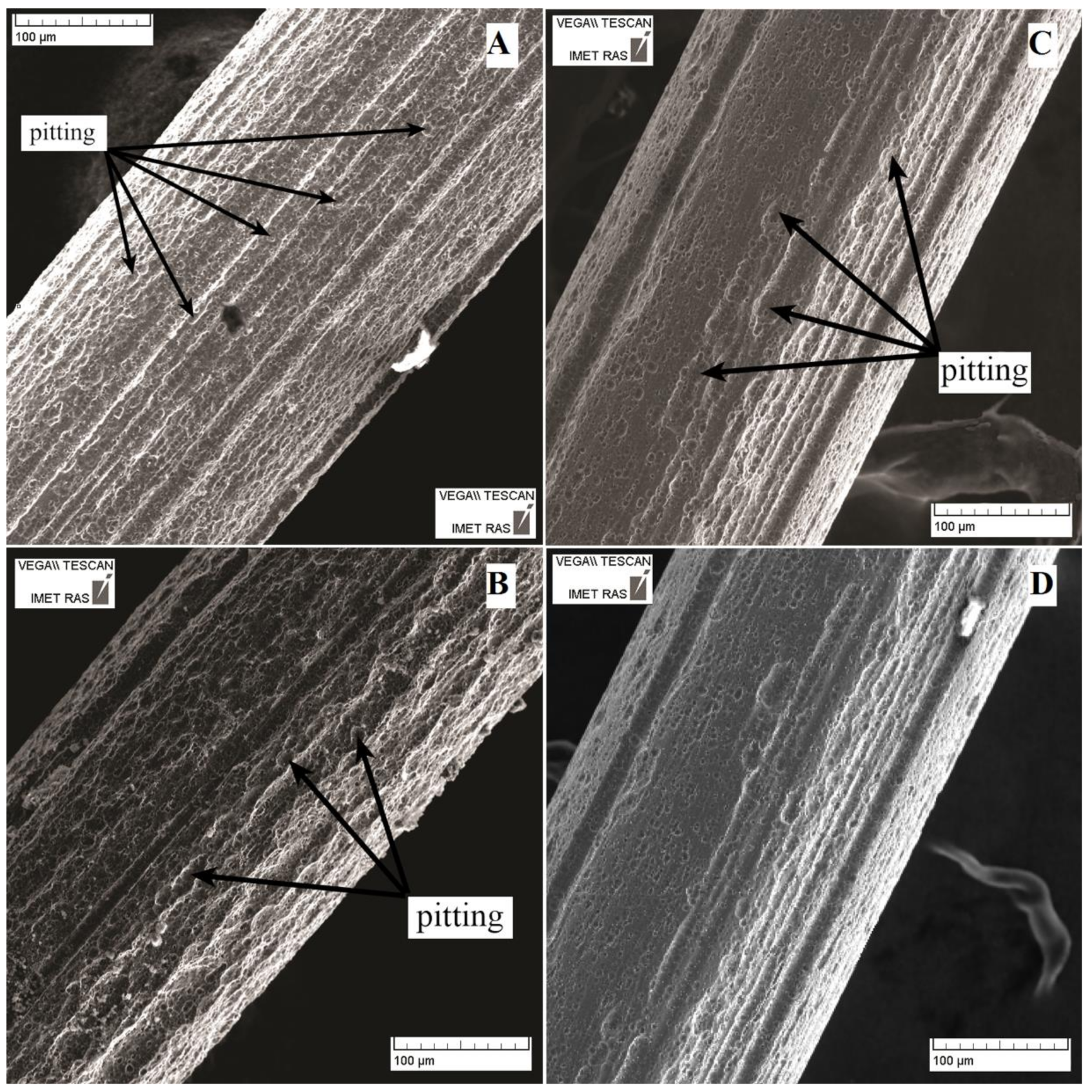 Nanomaterials 09 01569 g004