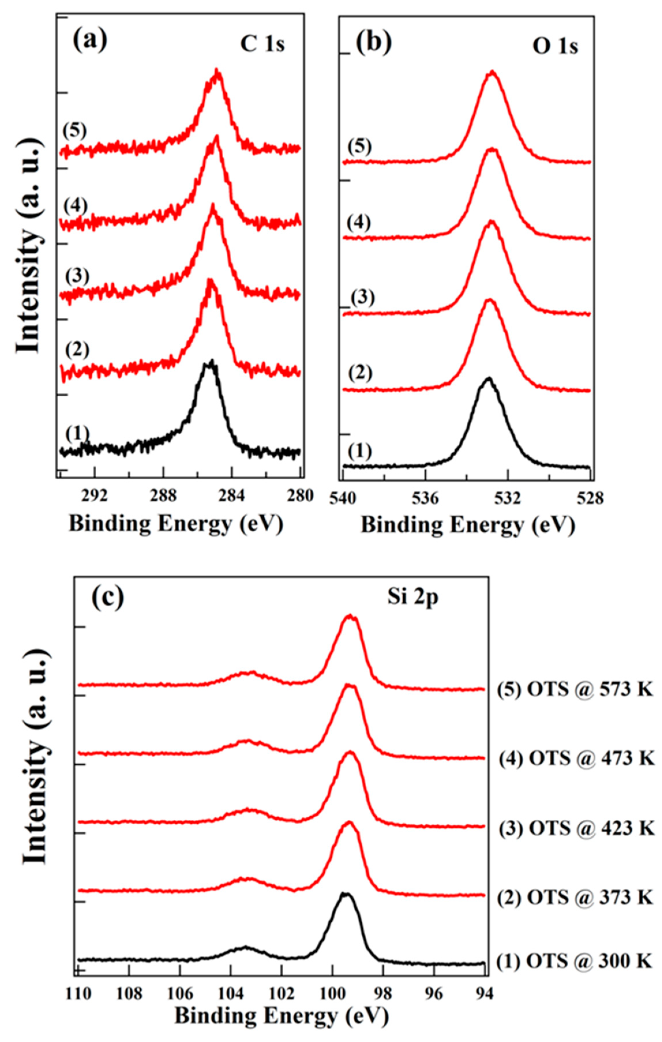 Nanomaterials 10 00210 g001