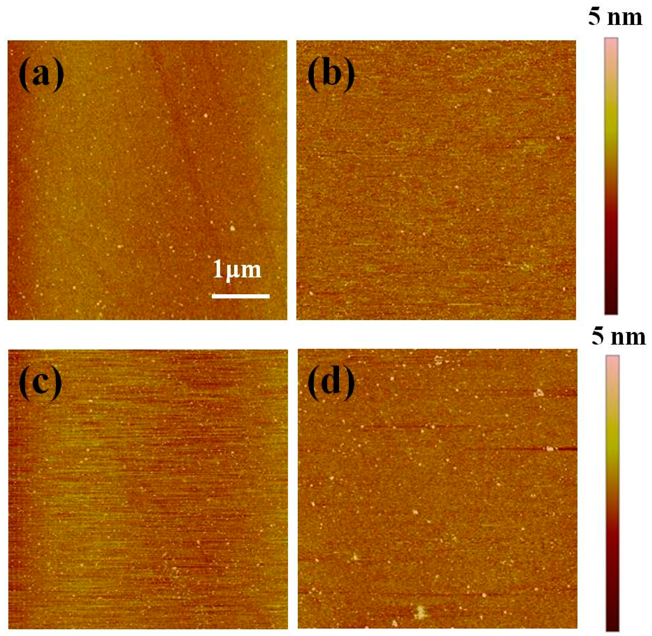 Nanomaterials 10 00210 g006