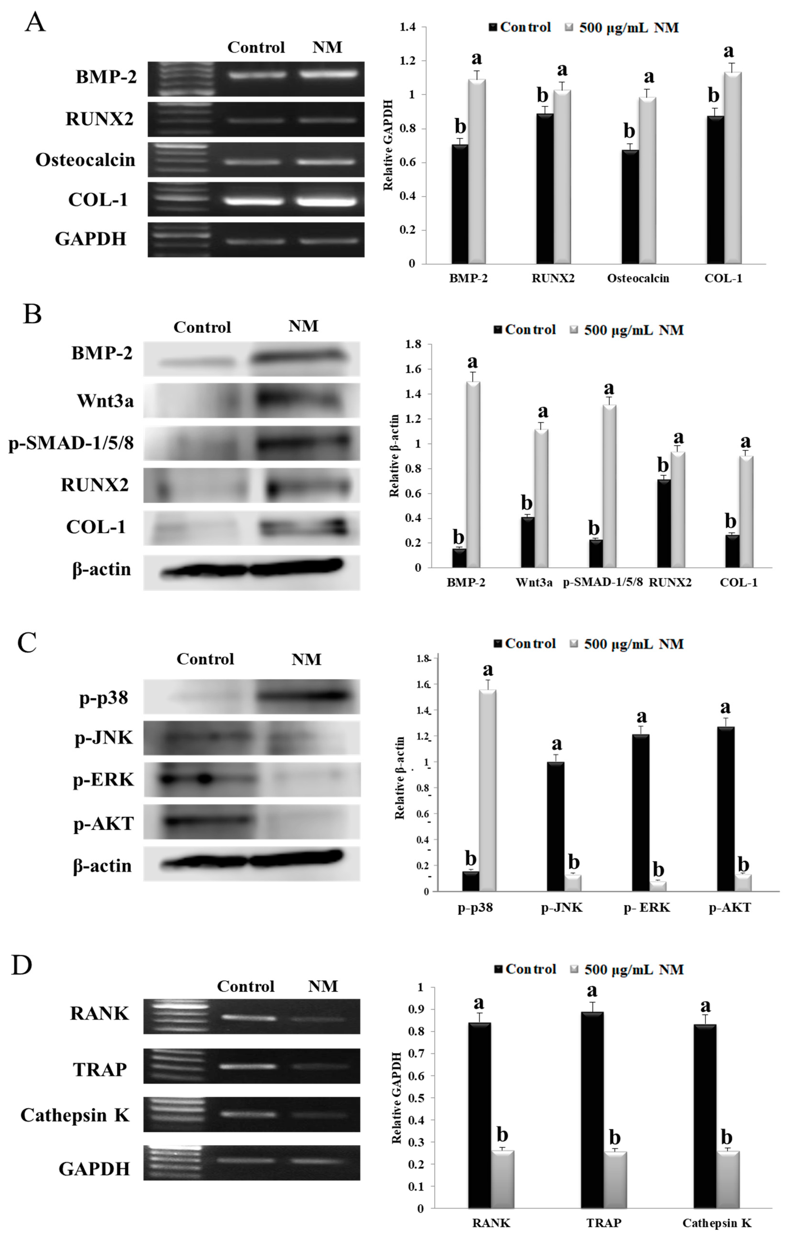 Nanomaterials 10 00230 g003