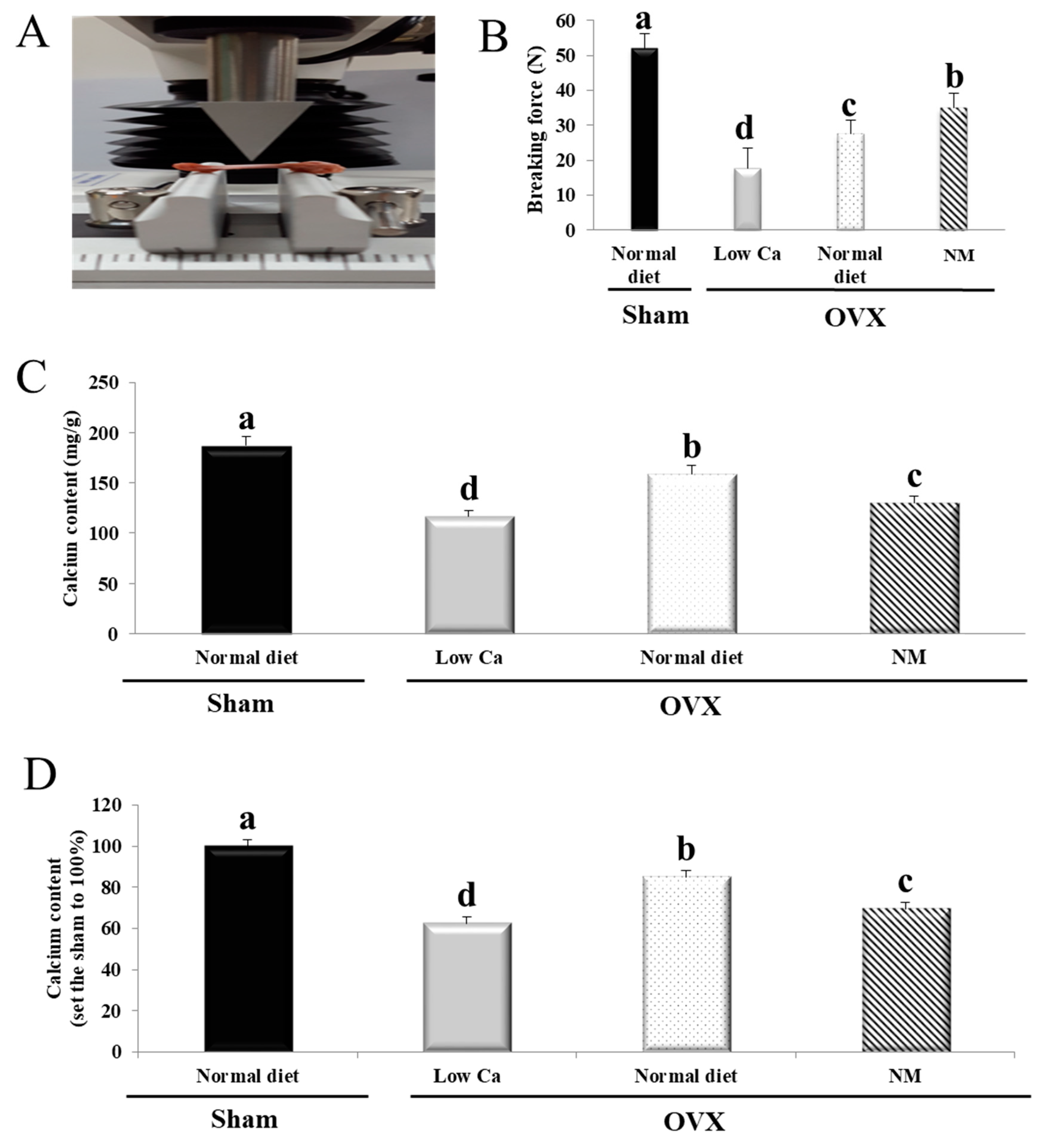 Nanomaterials 10 00230 g004