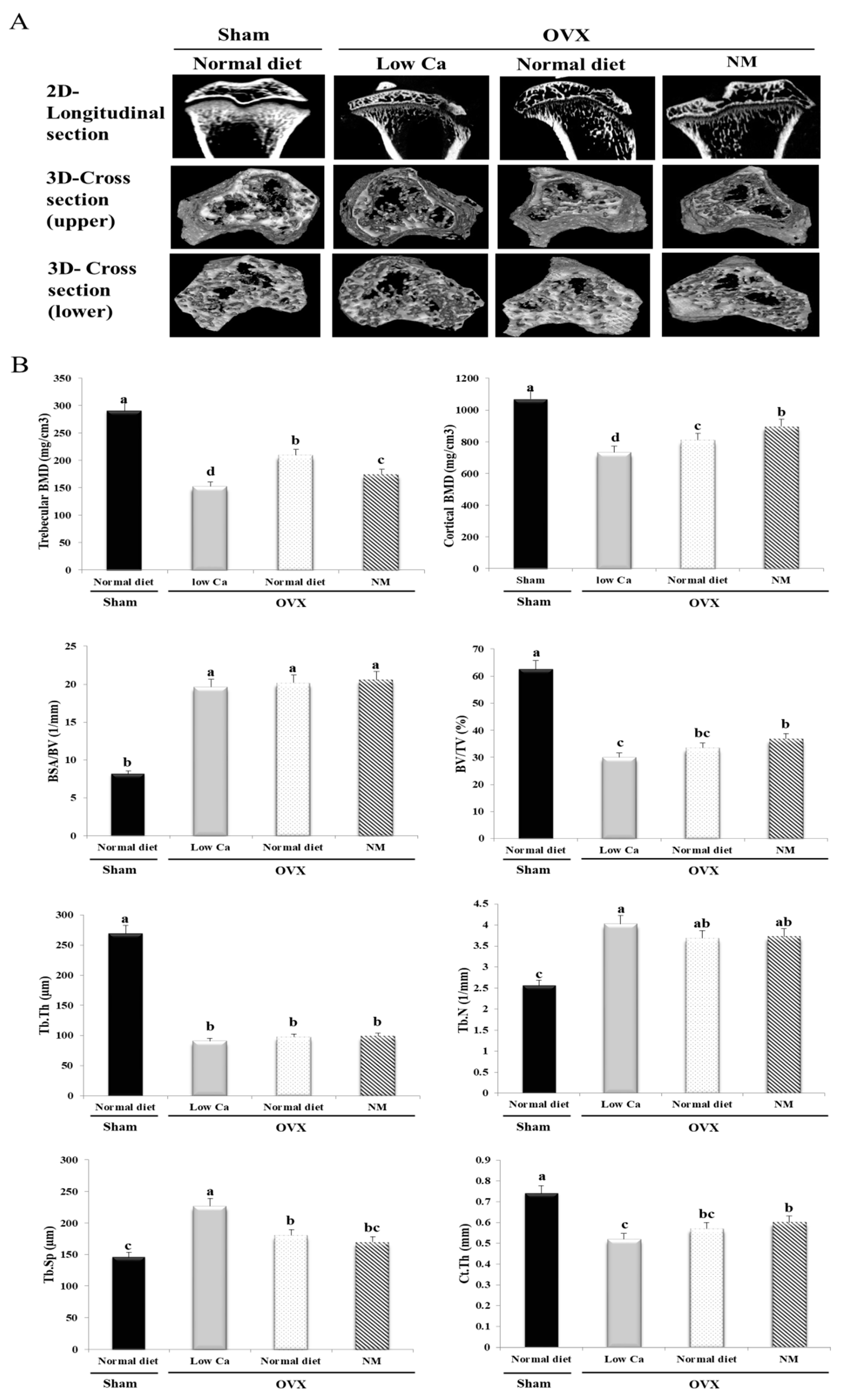Nanomaterials 10 00230 g005