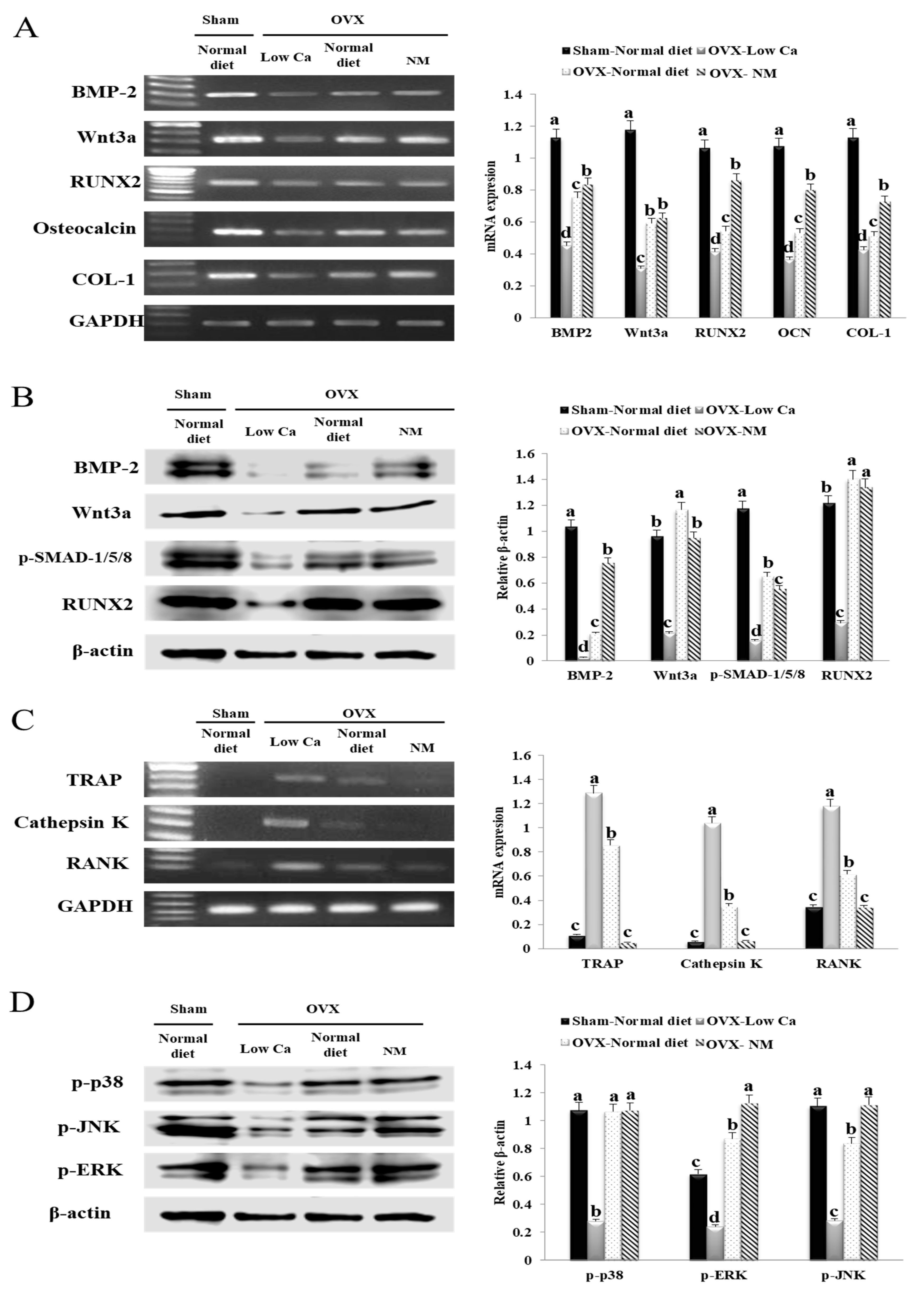Nanomaterials 10 00230 g007