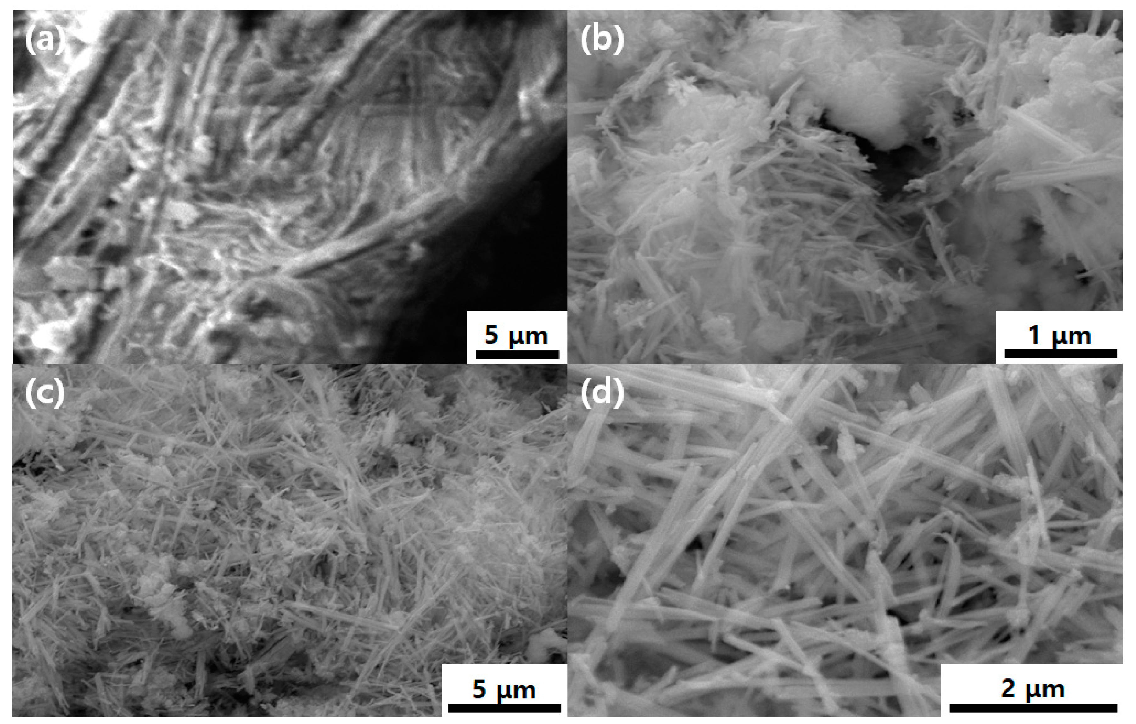 Nanomaterials 10 00392 g003