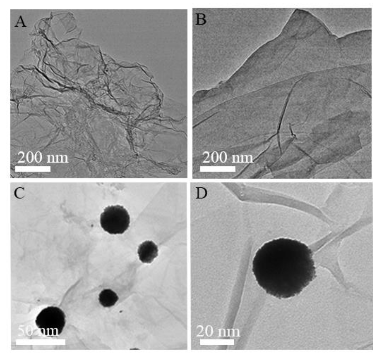 Nanomaterials 10 00499 g001
