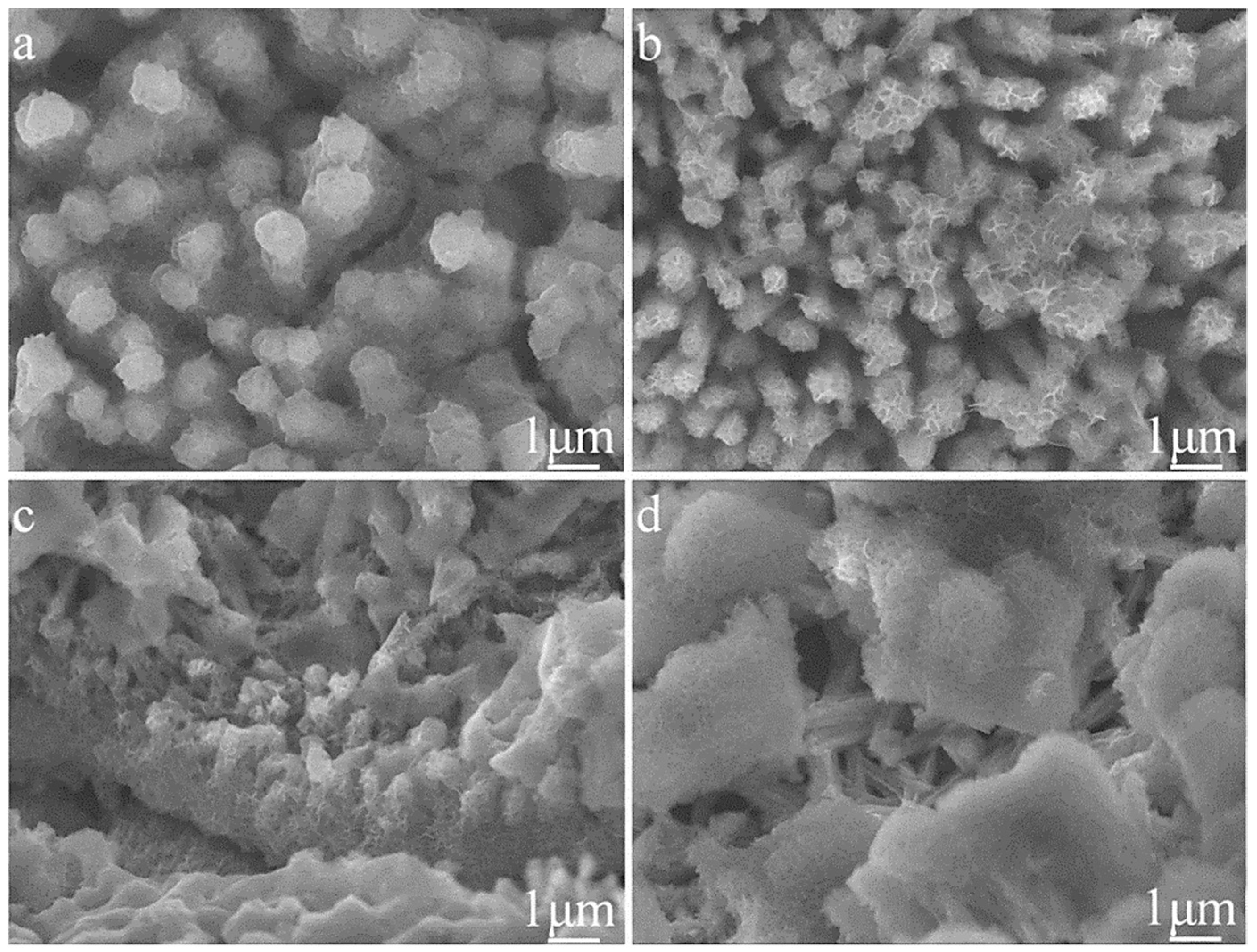 Nanomaterials 10 00584 g003