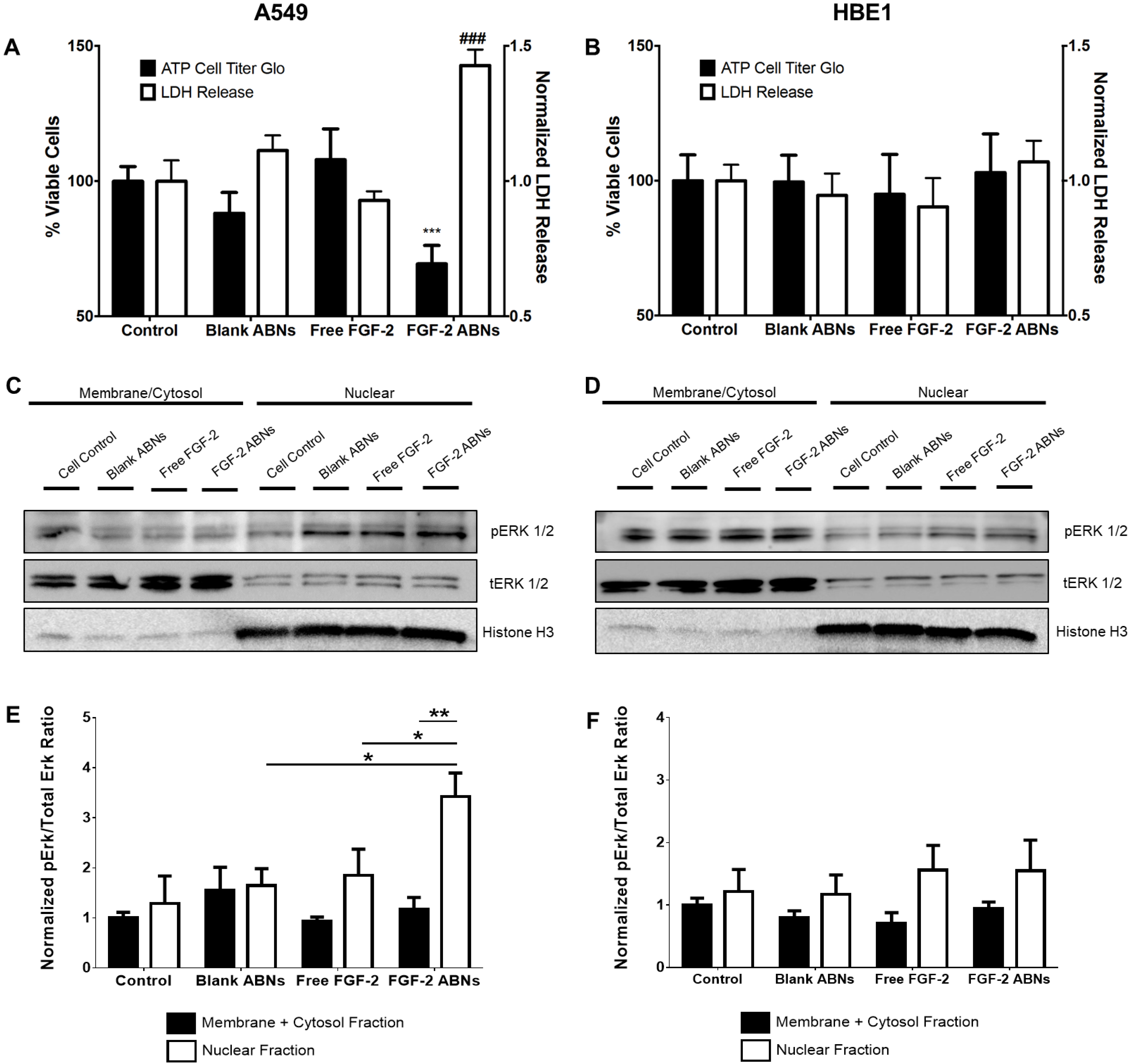 Nanomaterials 10 00612 g006