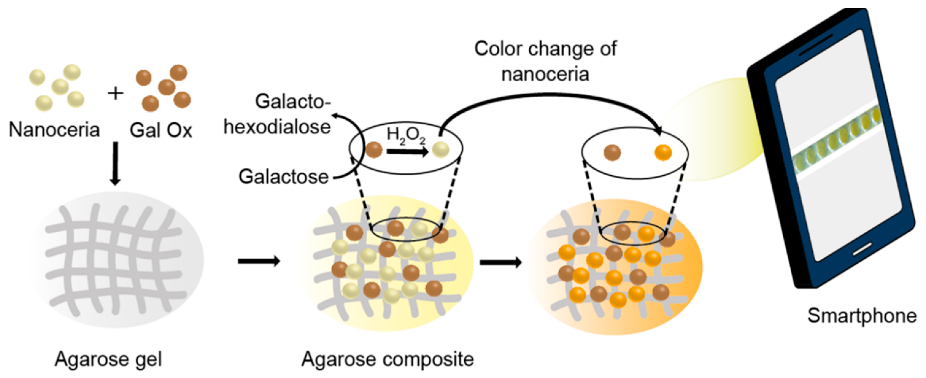 Nanomaterials 10 00895 g001