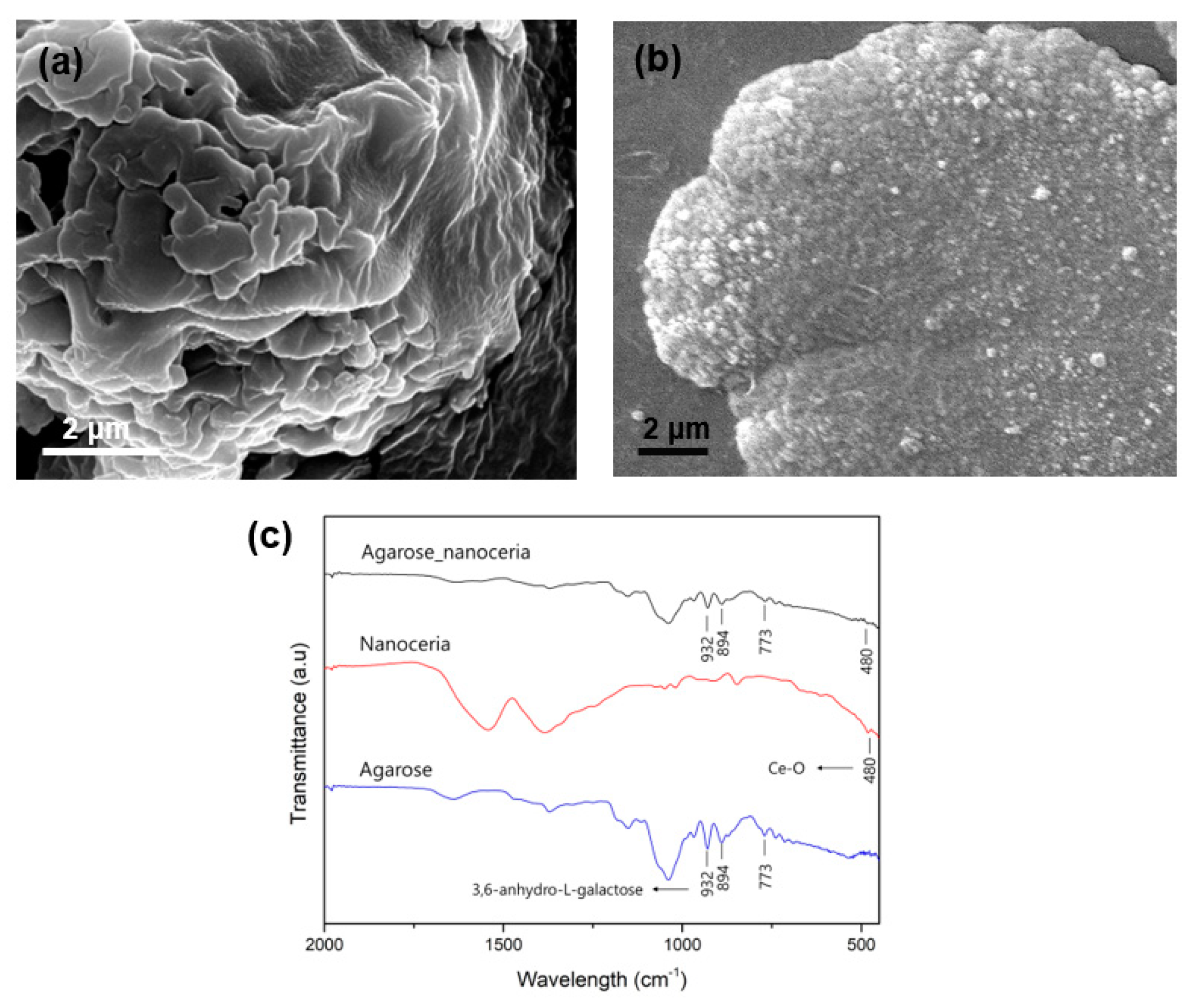 Nanomaterials 10 00895 g003