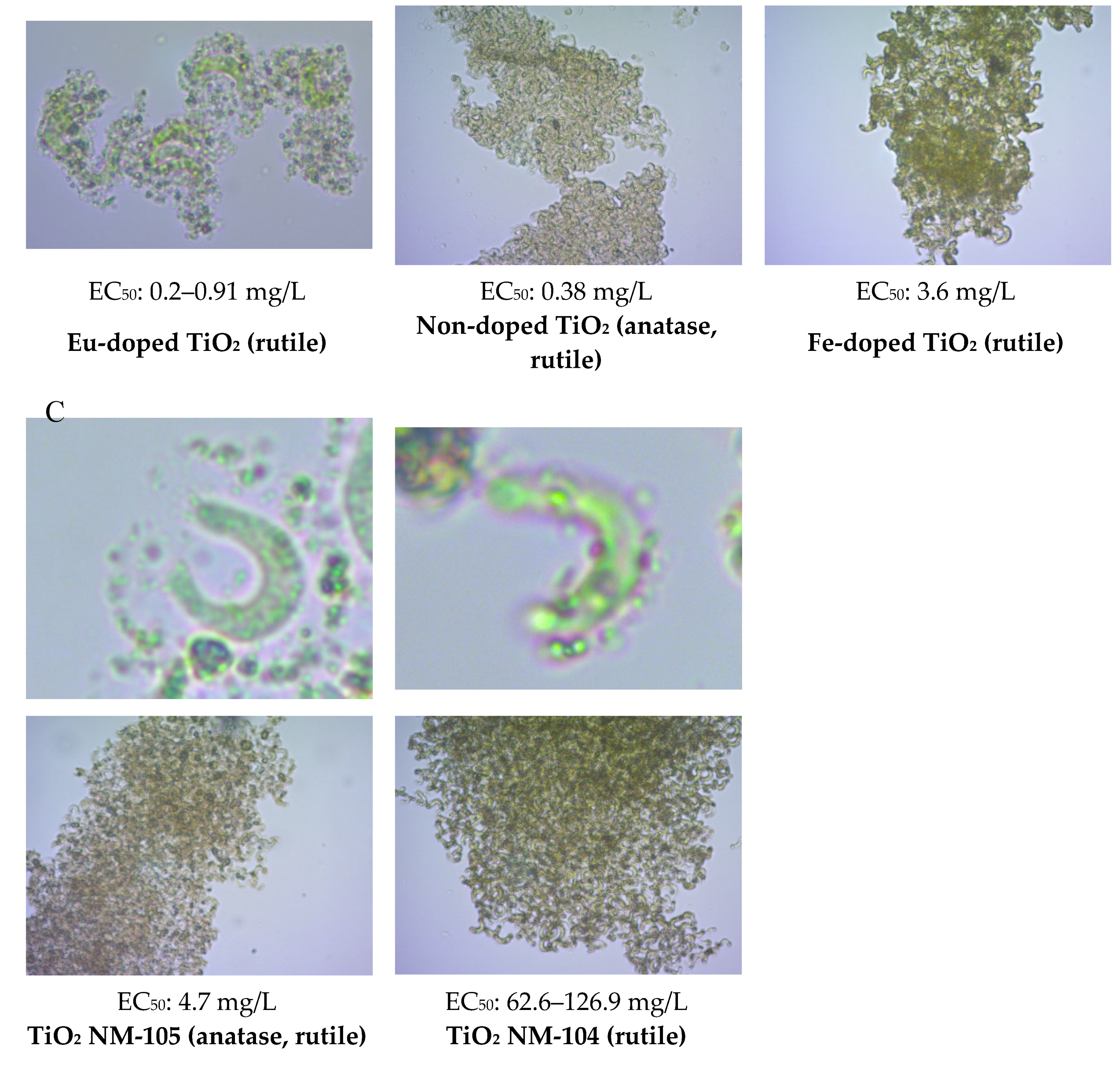 Nanomaterials 10 01021 g007b