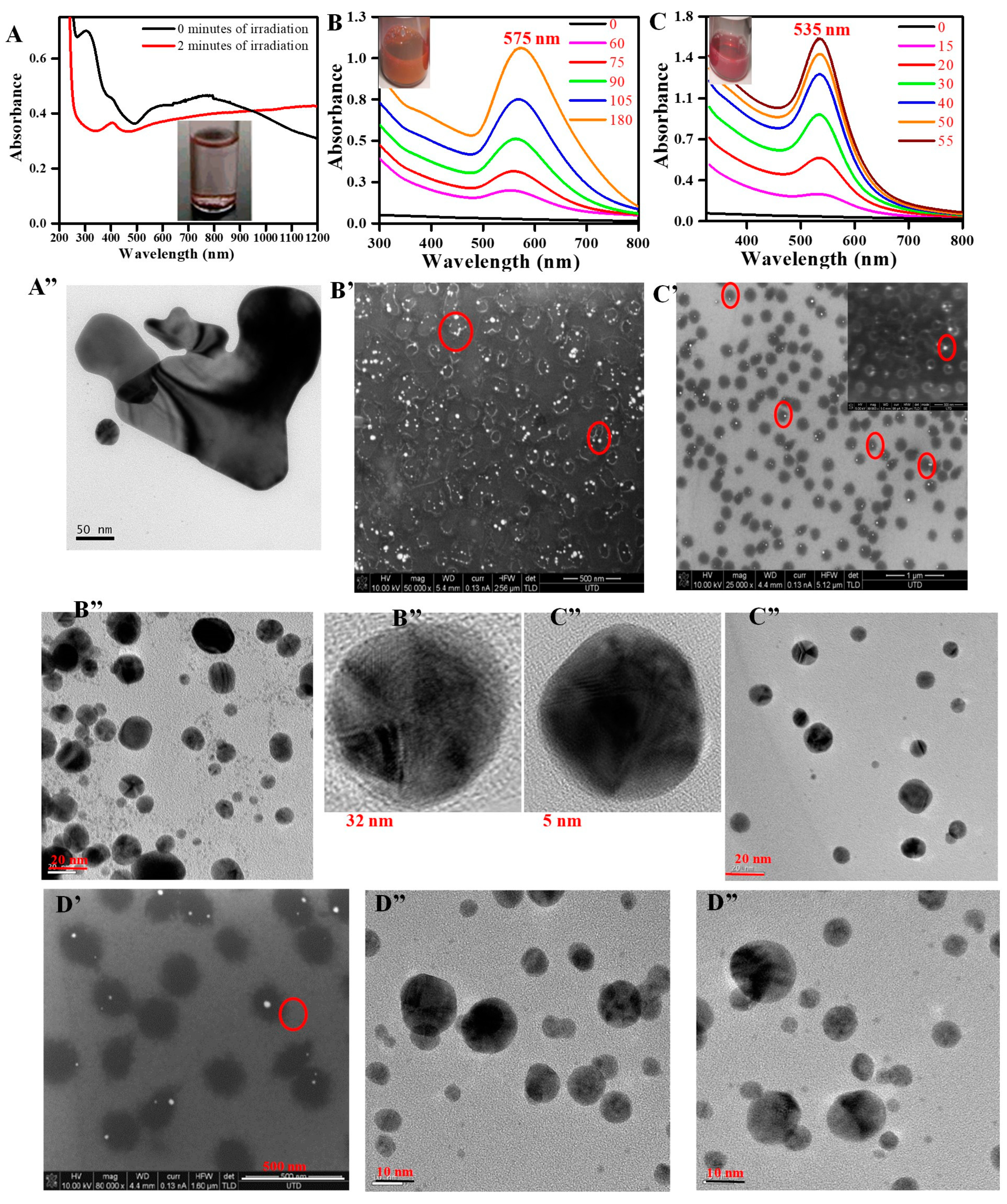 Nanomaterials 10 01251 g001