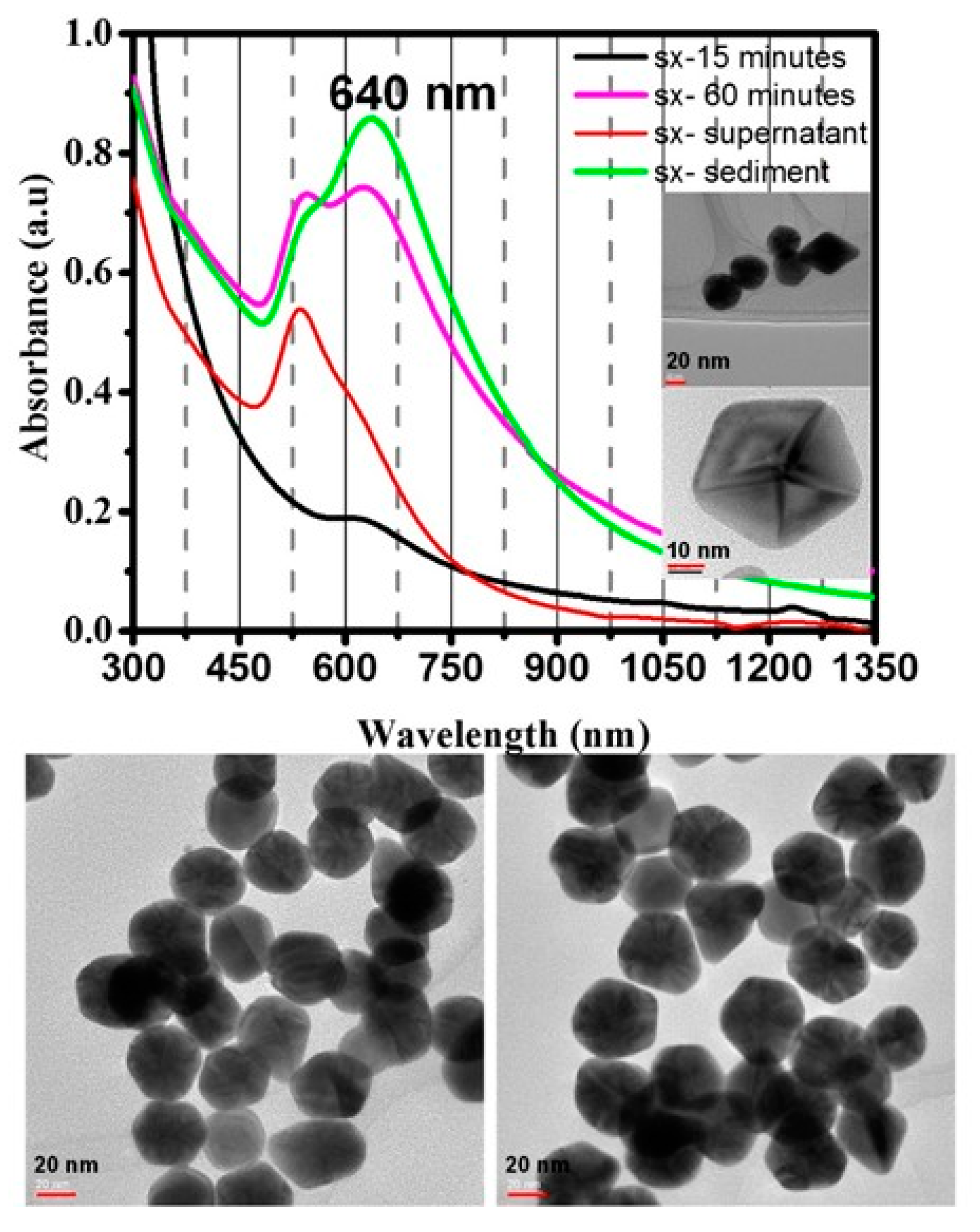 Nanomaterials 10 01251 g005