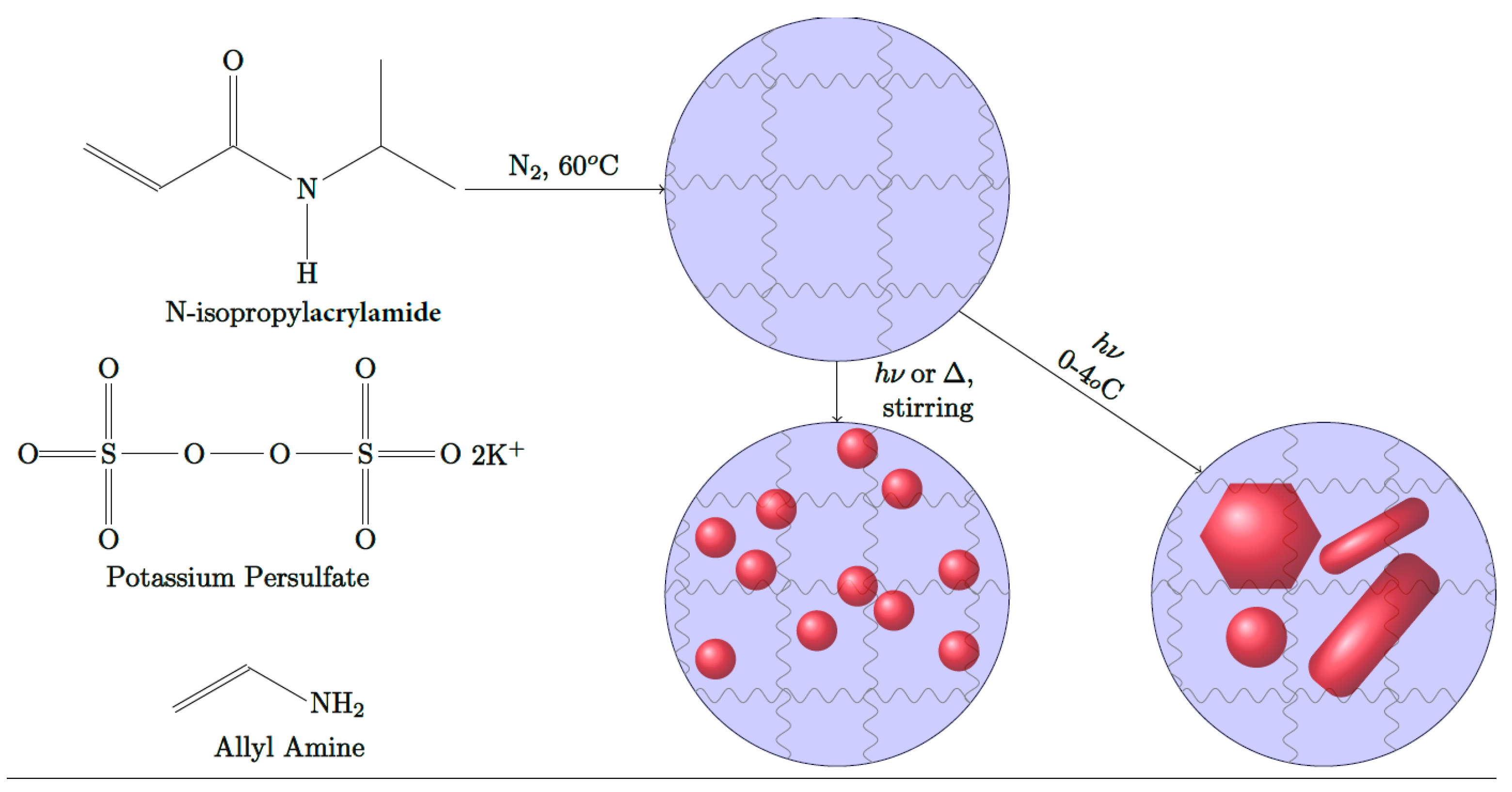 Nanomaterials 10 01251 sch001