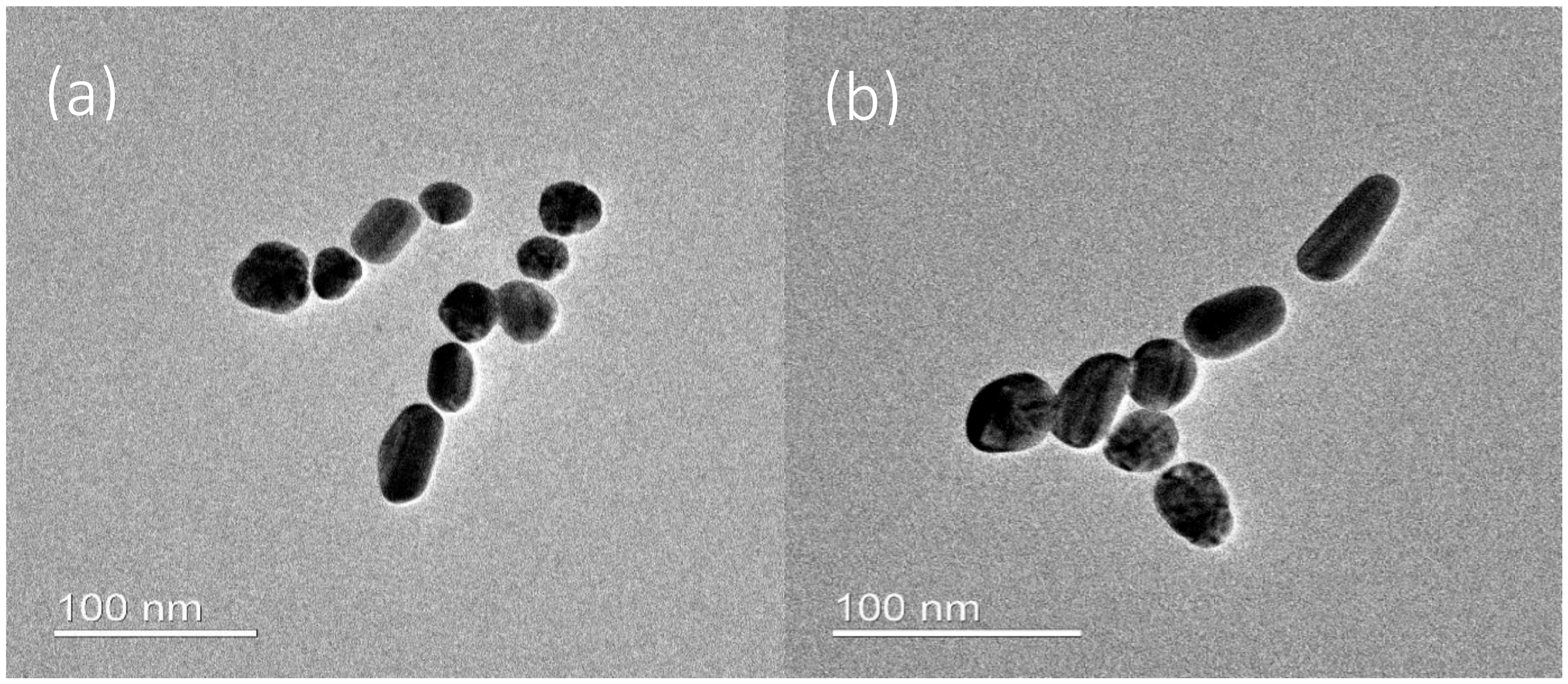 Nanomaterials 10 01378 g002