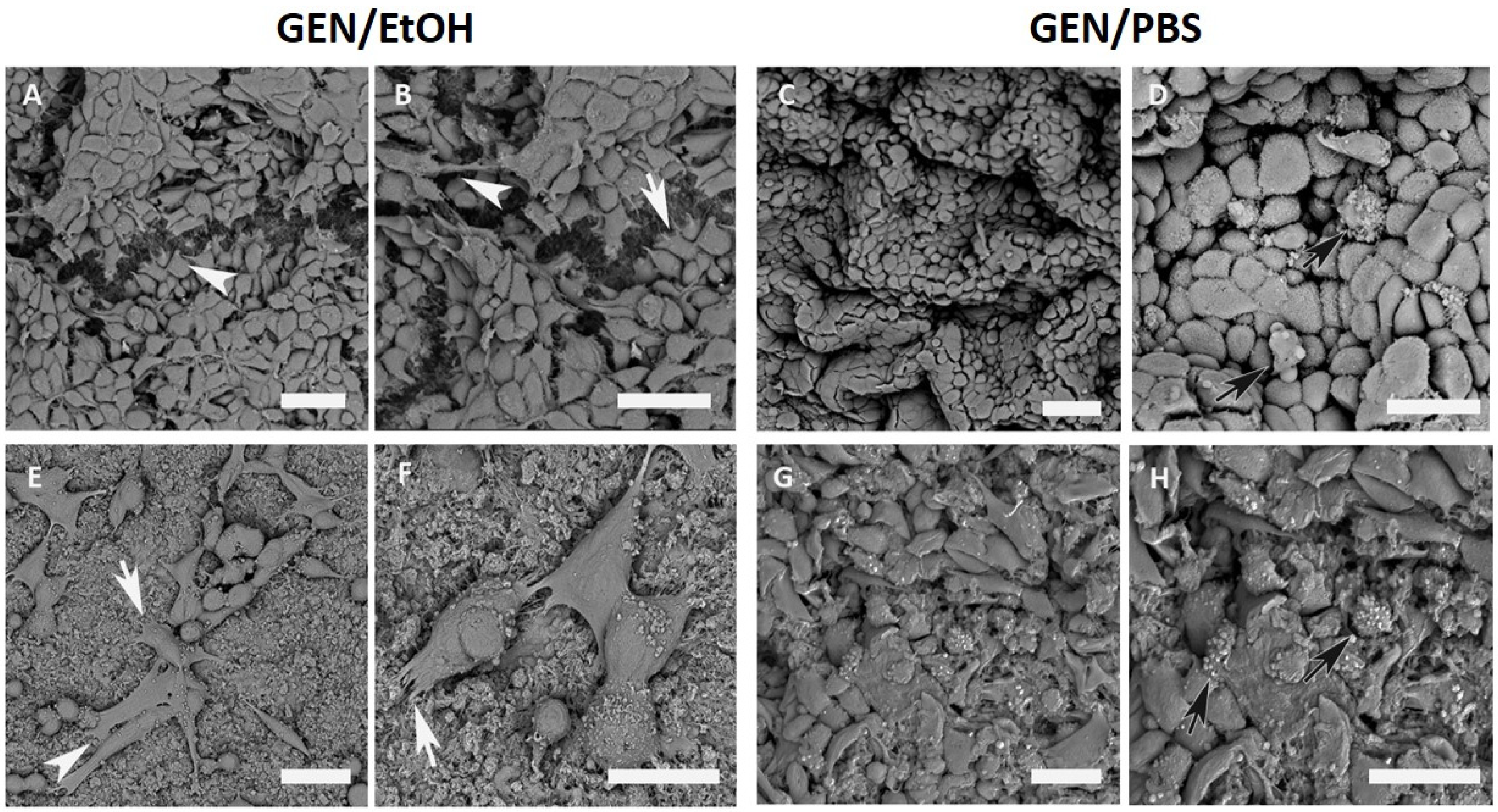 Nanomaterials 10 01681 g010