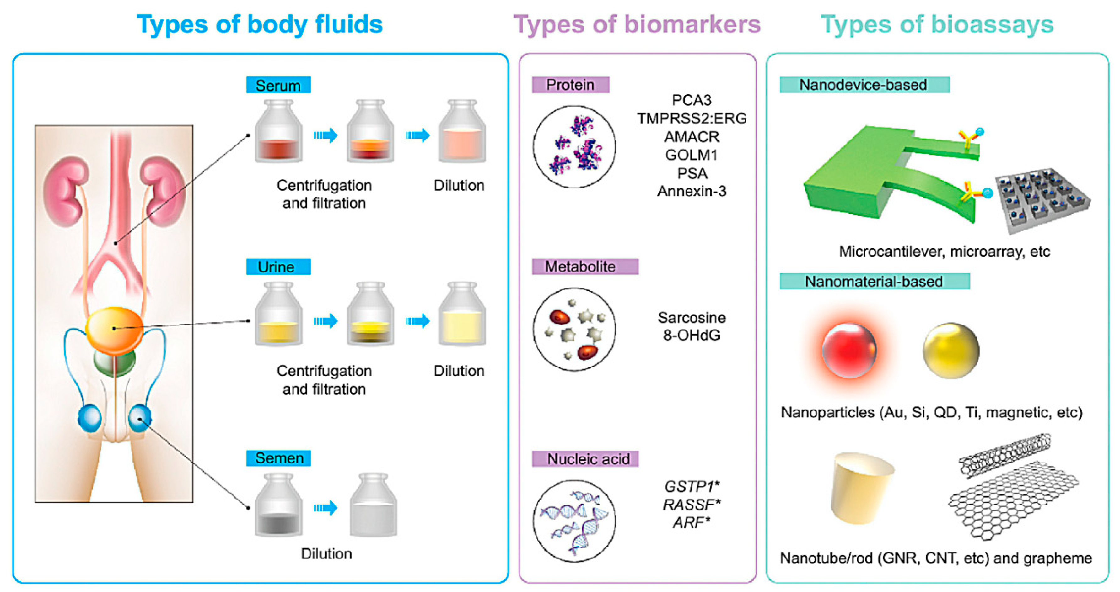 Nanomaterials 10 01696 g005