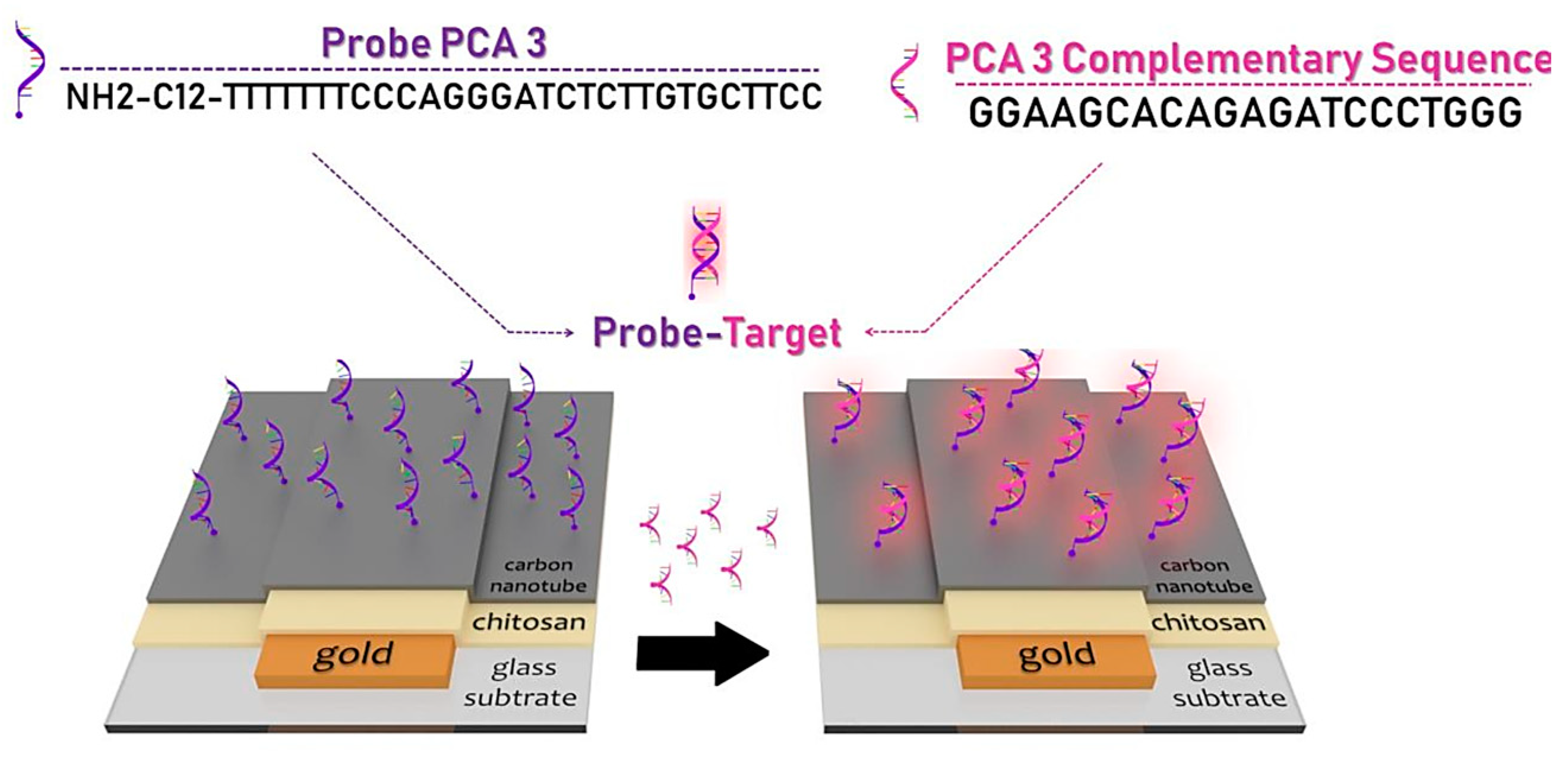 Nanomaterials 10 01696 g009
