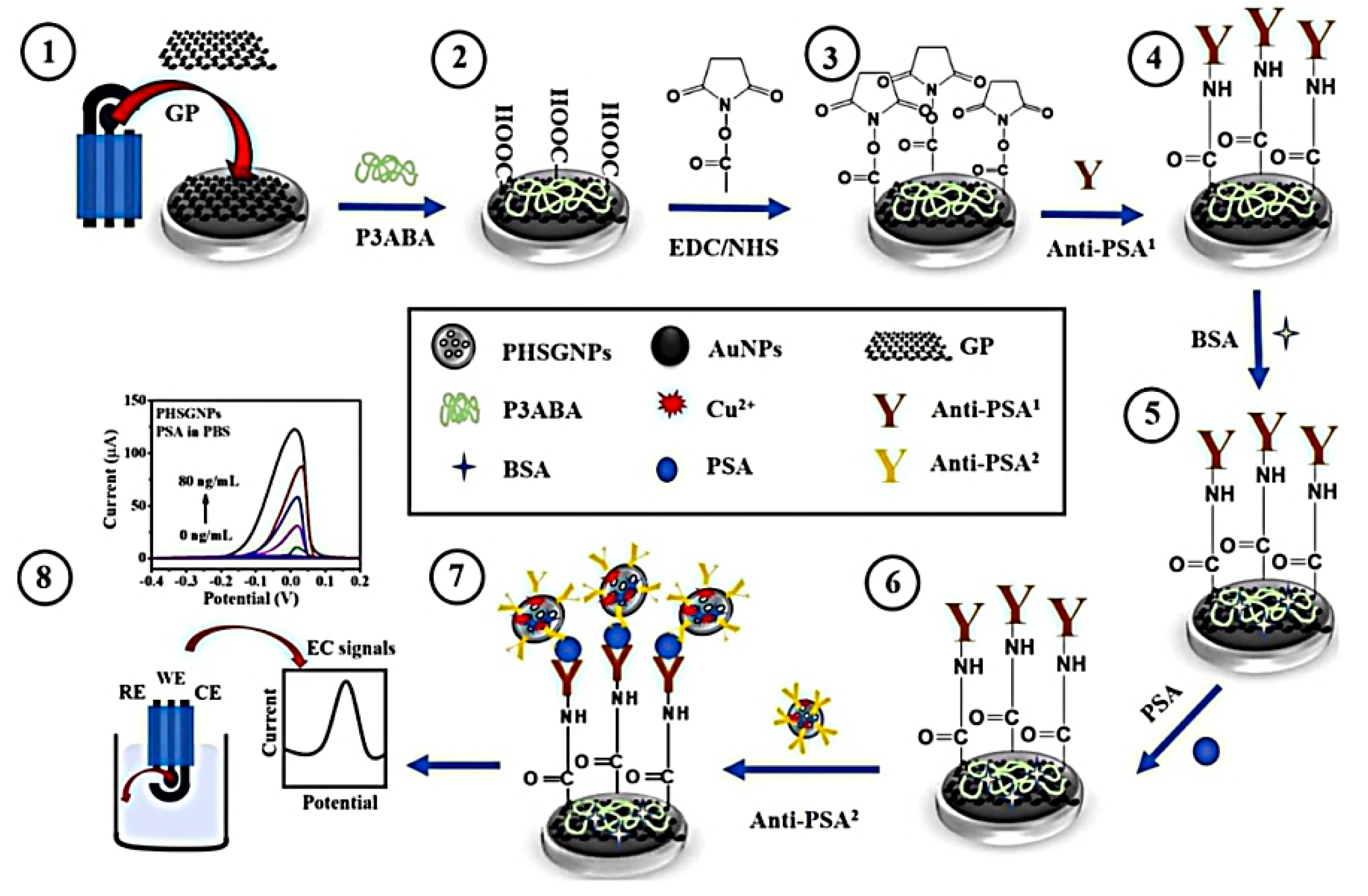 Nanomaterials 10 01696 g010