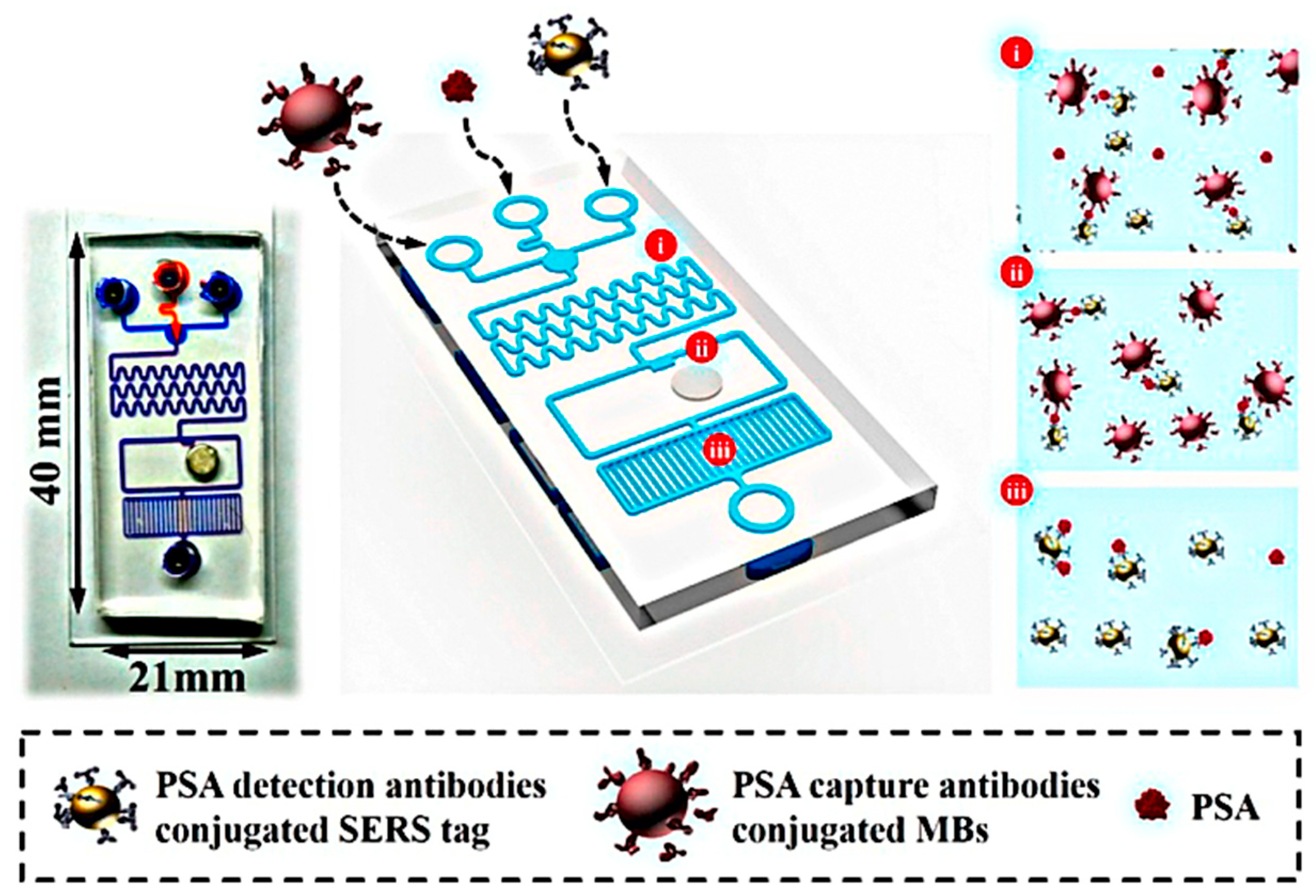 Nanomaterials 10 01696 g011