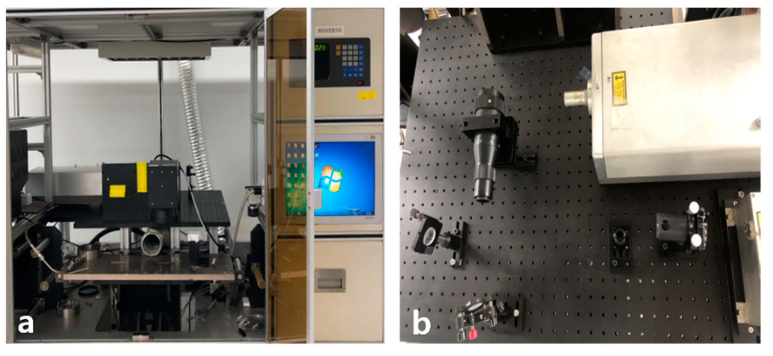 Nanomaterials 10 01904 g001