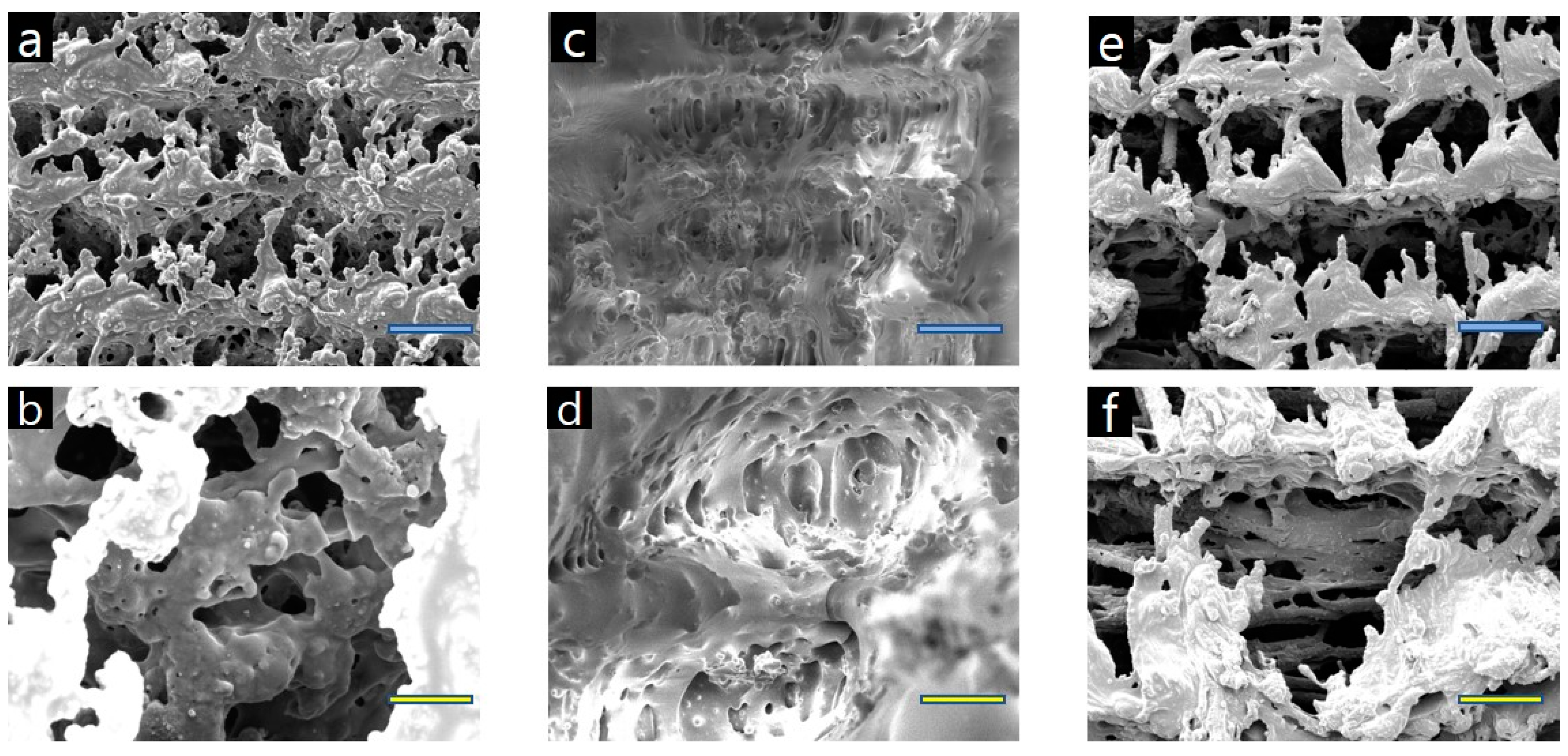 Nanomaterials 10 01904 g005