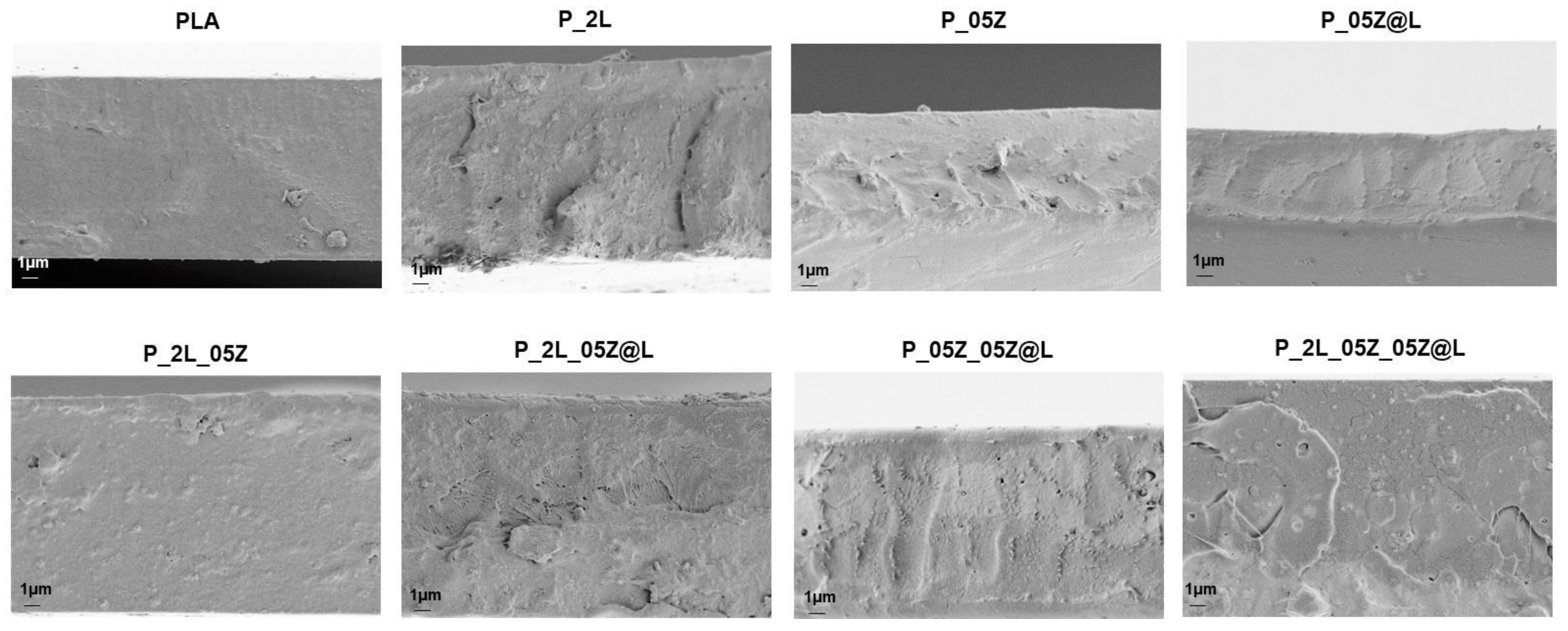 Nanomaterials 10 02176 g004