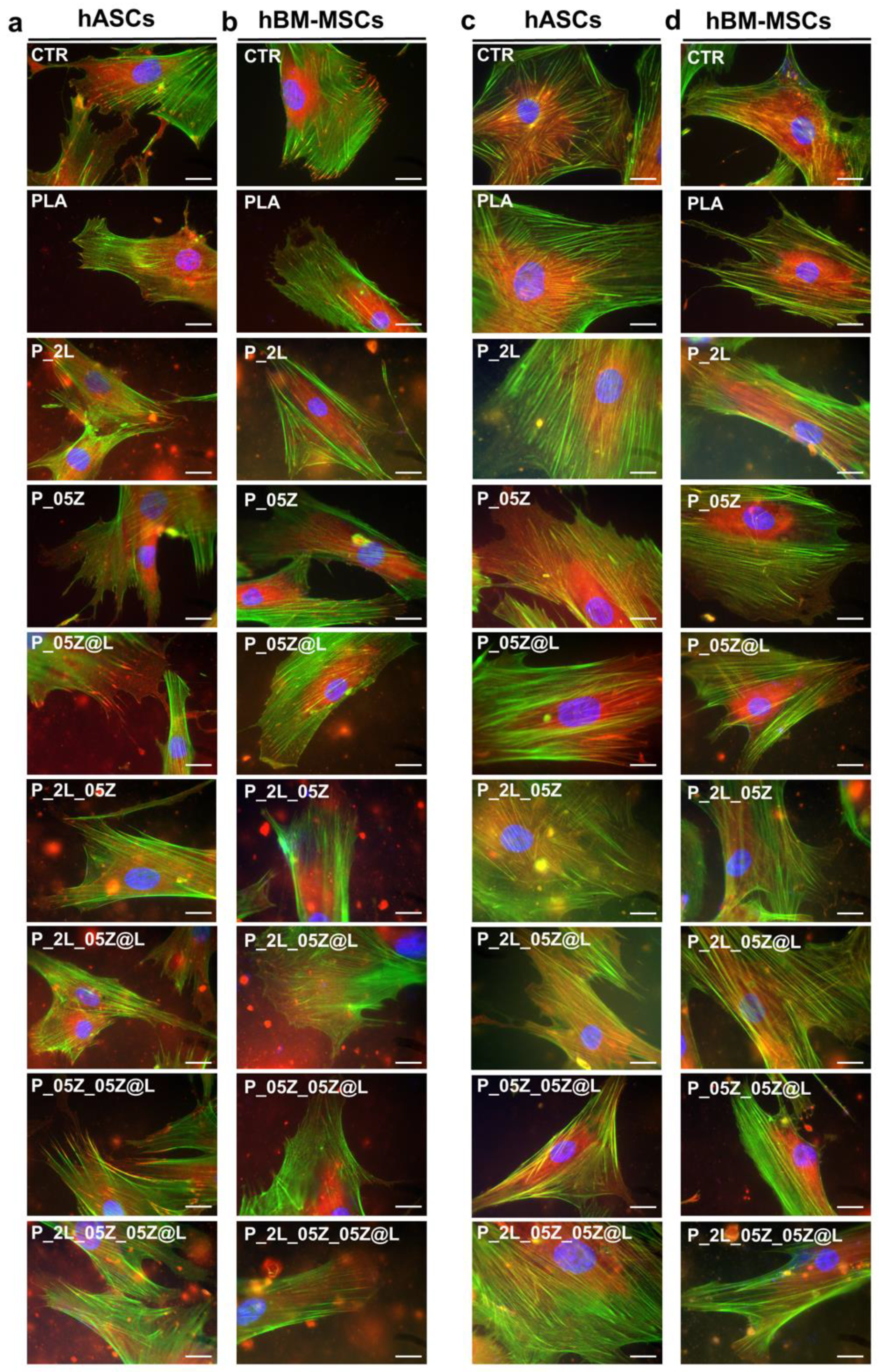Nanomaterials 10 02176 g011