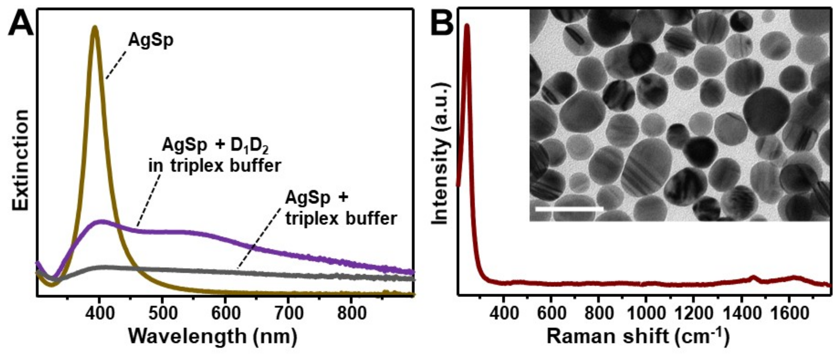 Nanomaterials 11 00326 g001