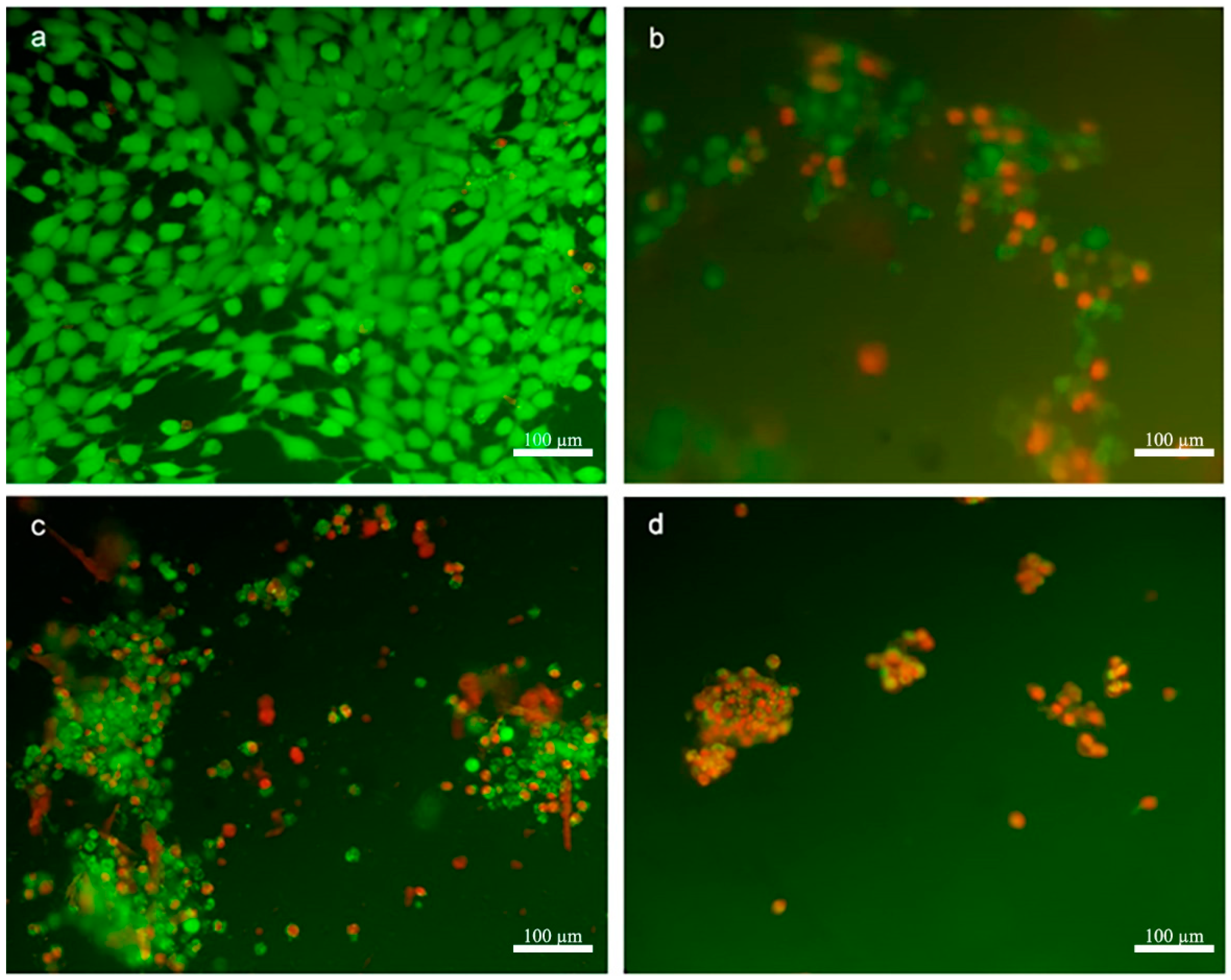 Nanomaterials 11 00515 g003