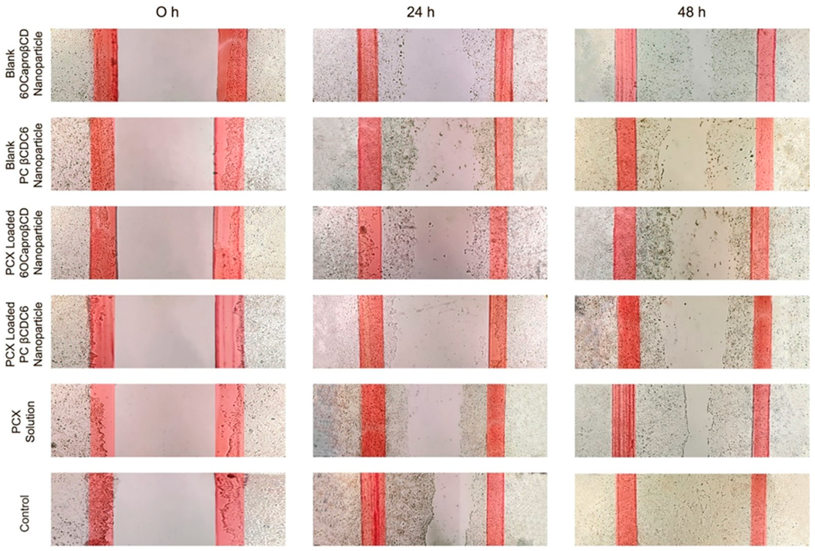Nanomaterials 11 00515 g004