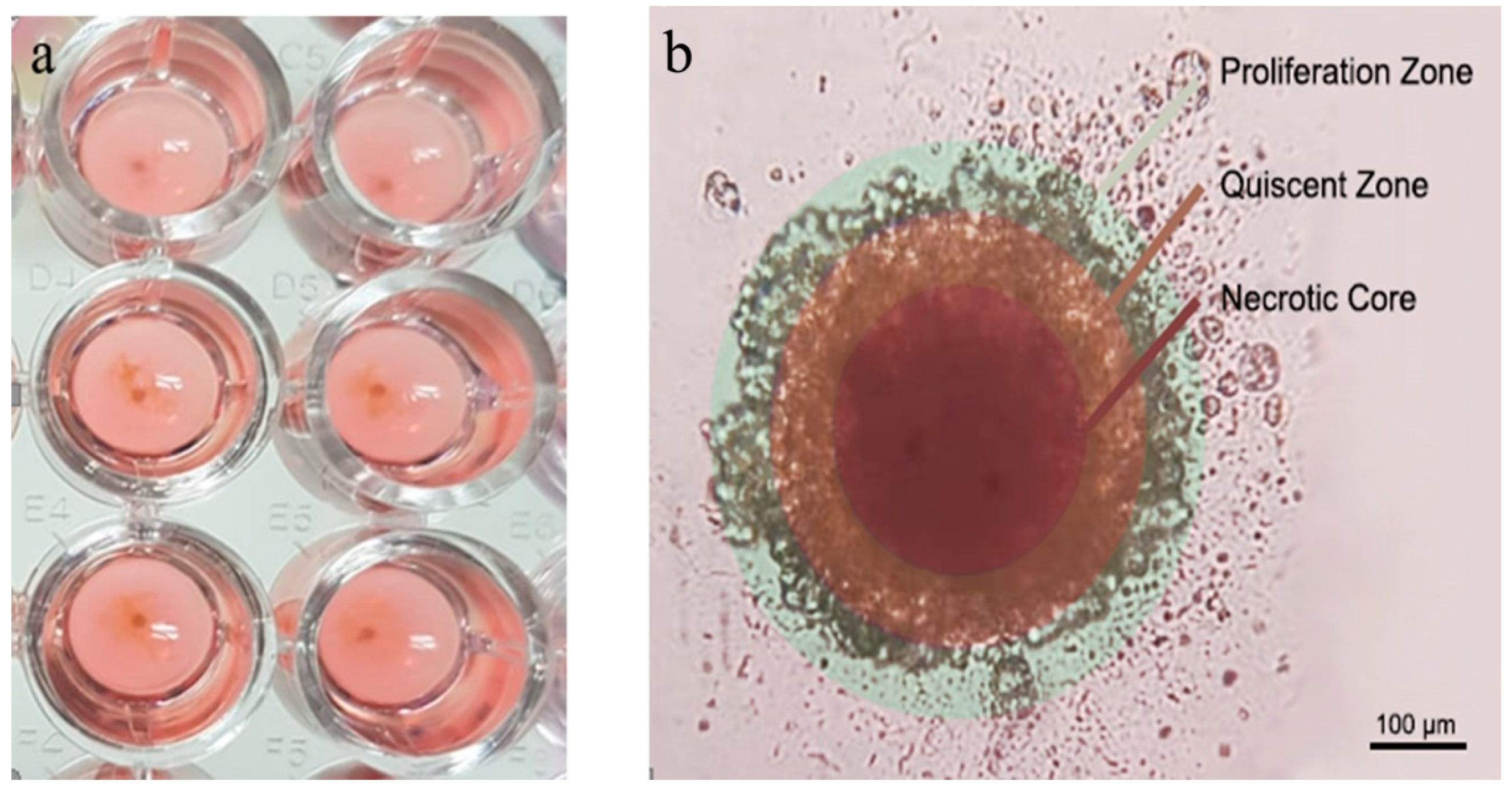 Nanomaterials 11 00515 g005