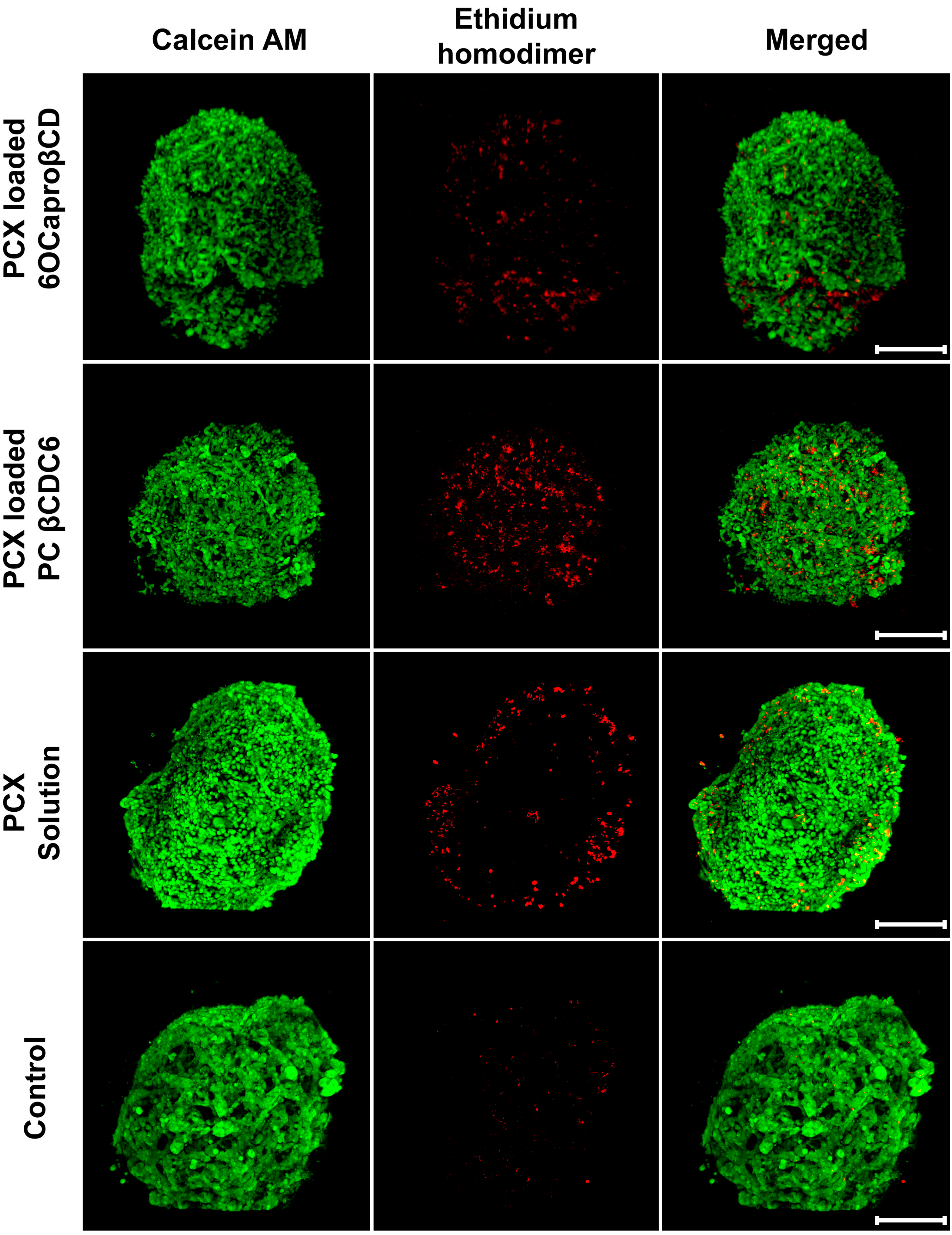 Nanomaterials 11 00515 g007