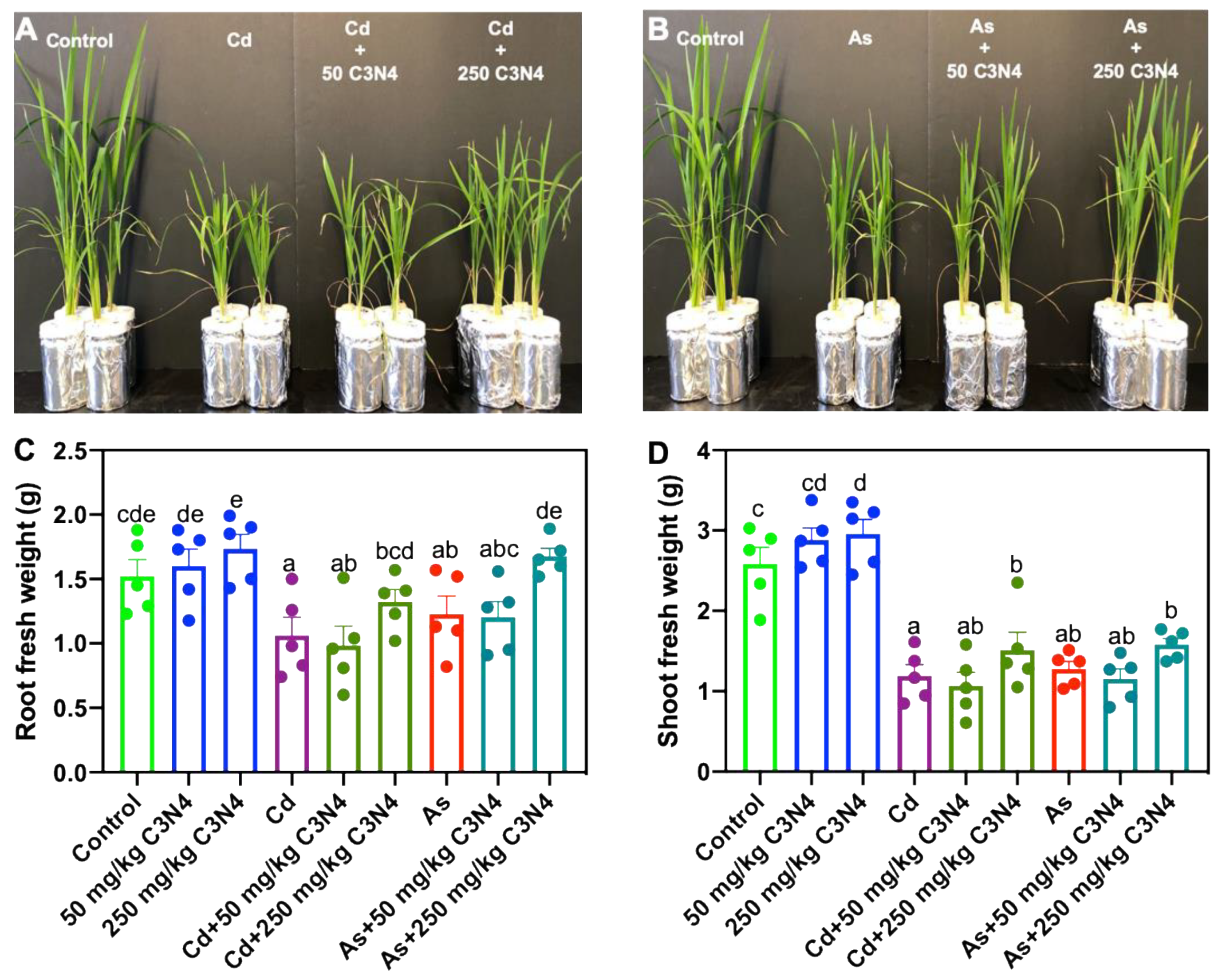 Nanomaterials 11 00839 g002