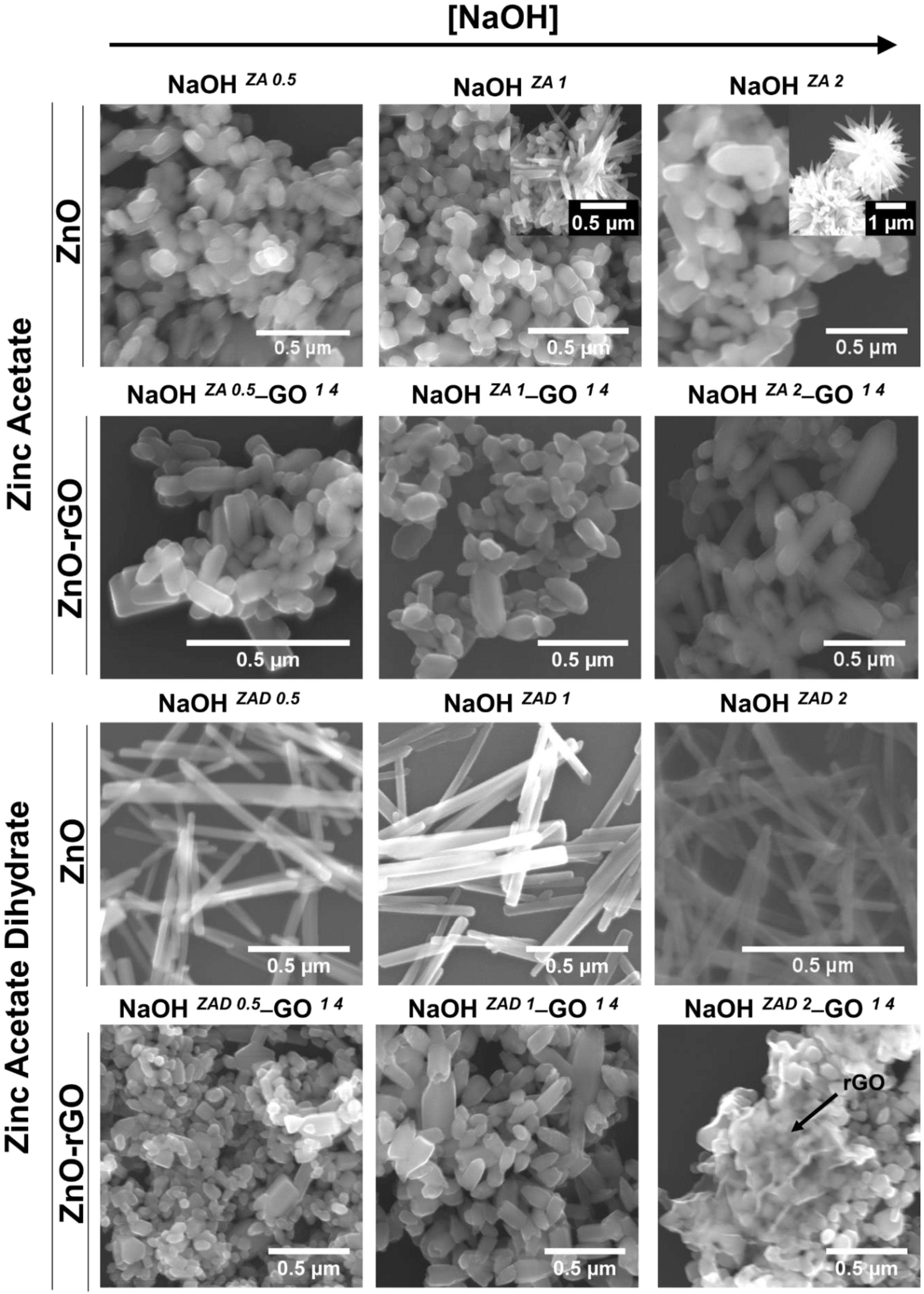 Nanomaterials 11 02149 g002