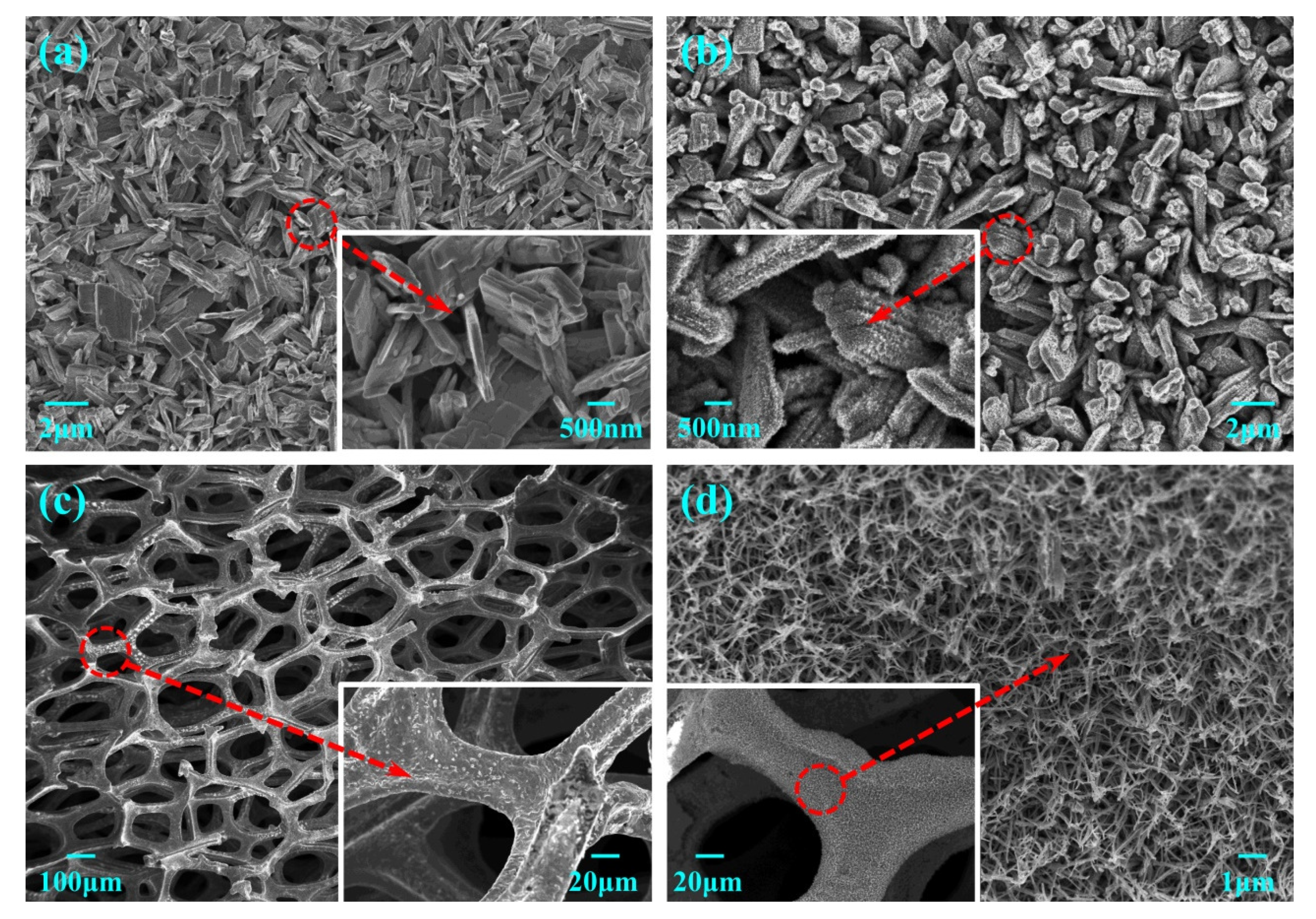 Nanomaterials 11 02777 g001