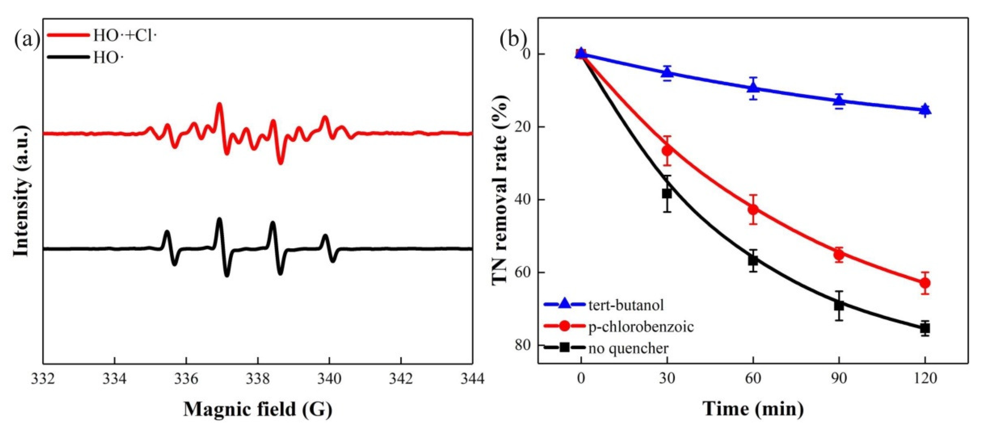 Nanomaterials 11 02777 g004
