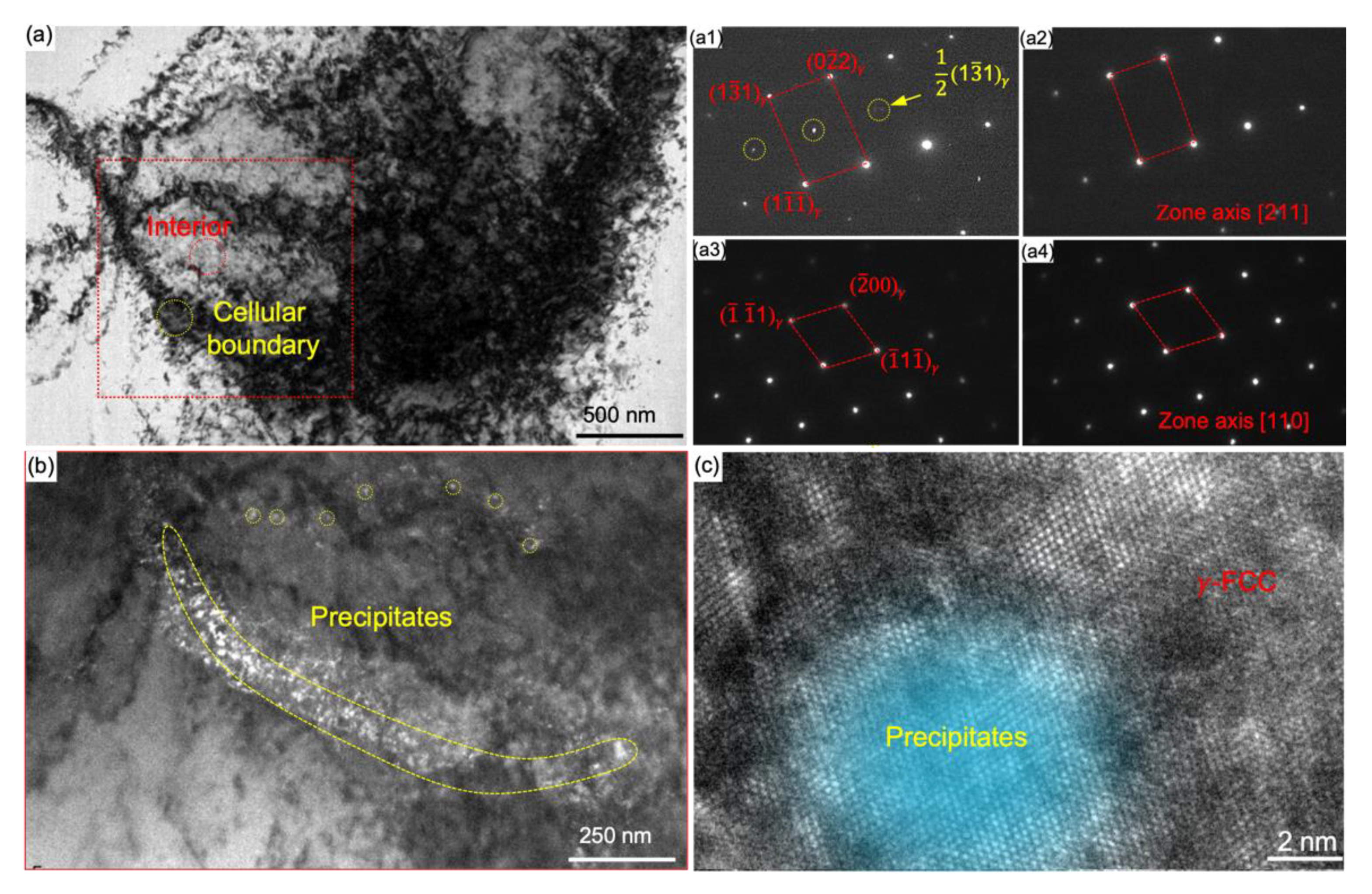 Nanomaterials 11 02859 g003