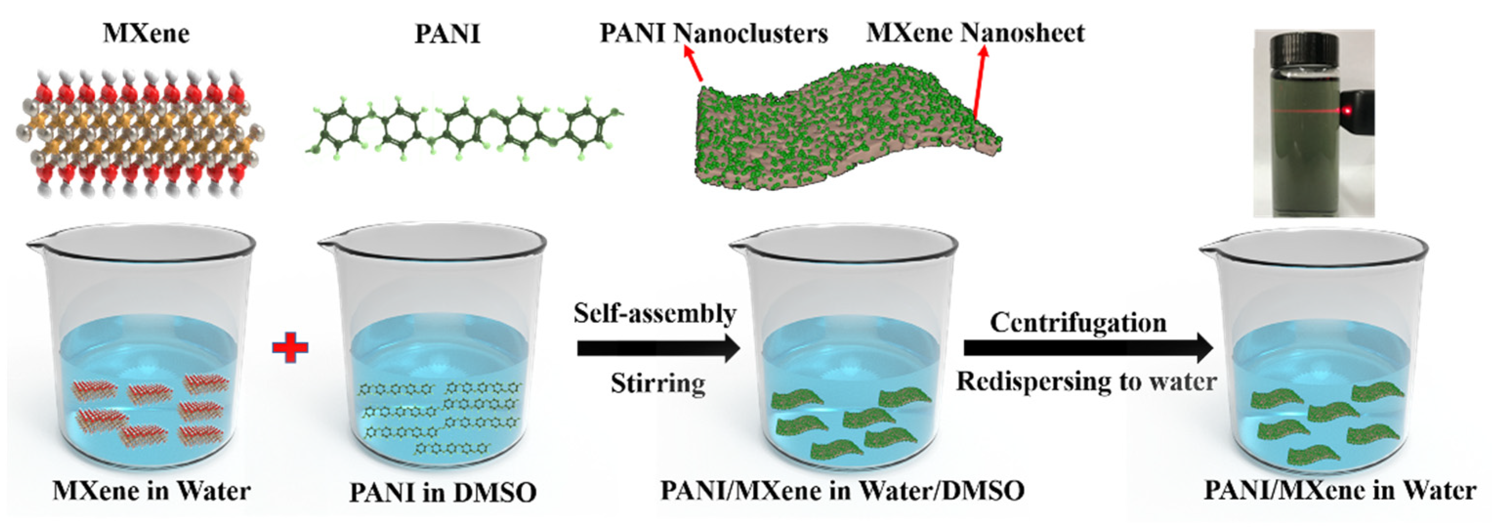Nanomaterials 11 02956 g001