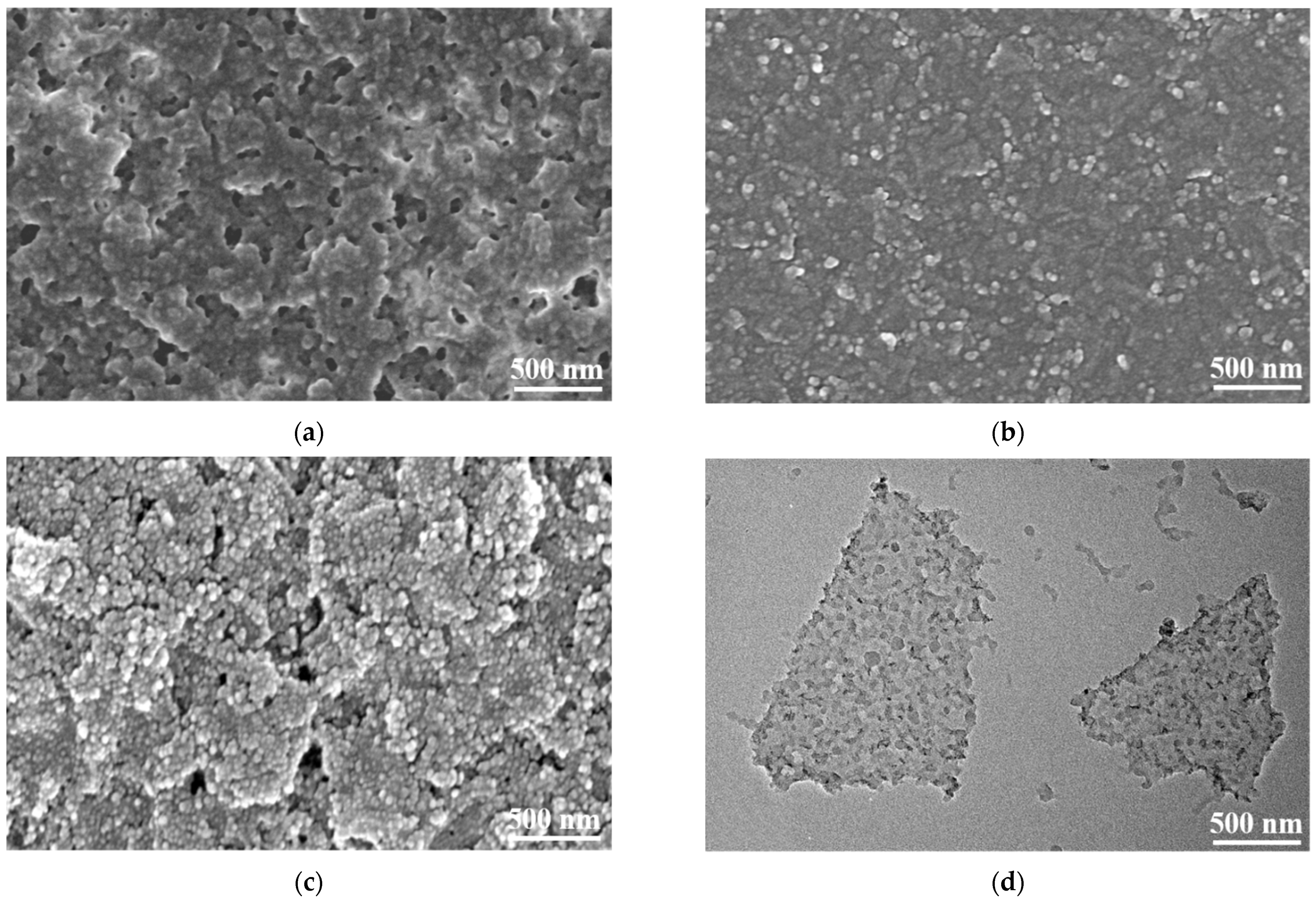 Nanomaterials 11 02956 g003