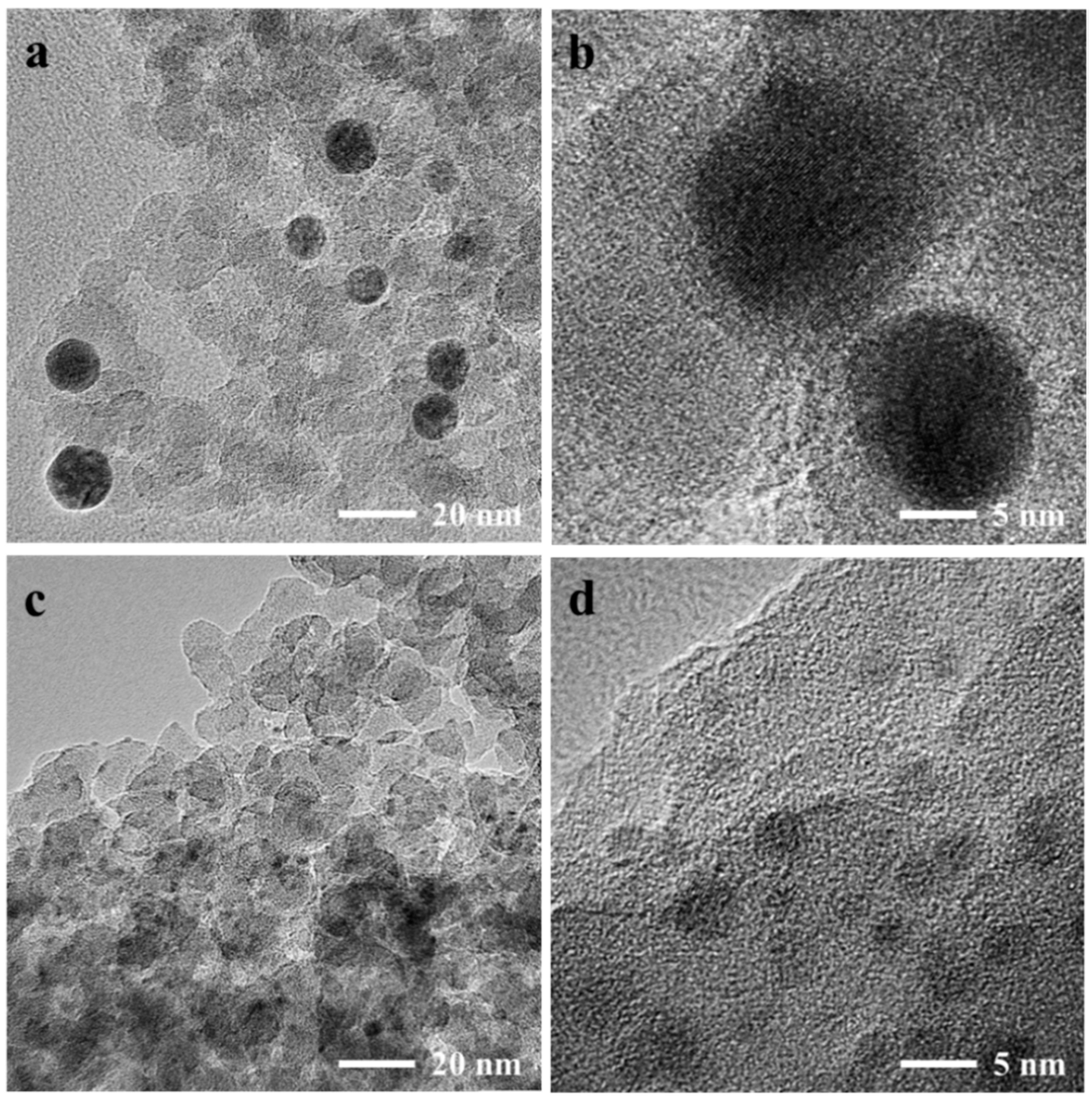 Nanomaterials 12 00407 g003