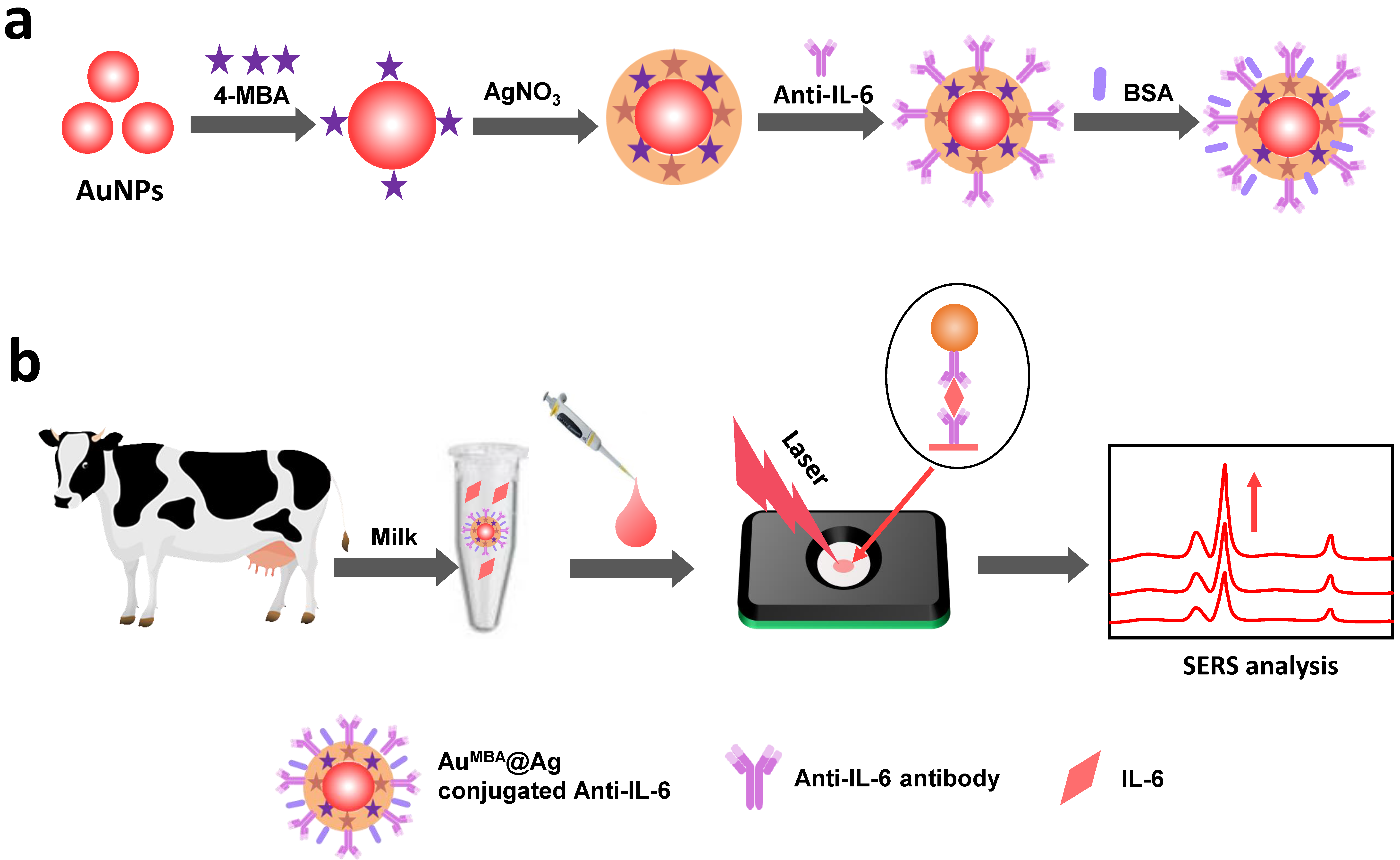 Nanomaterials 12 01091 g001