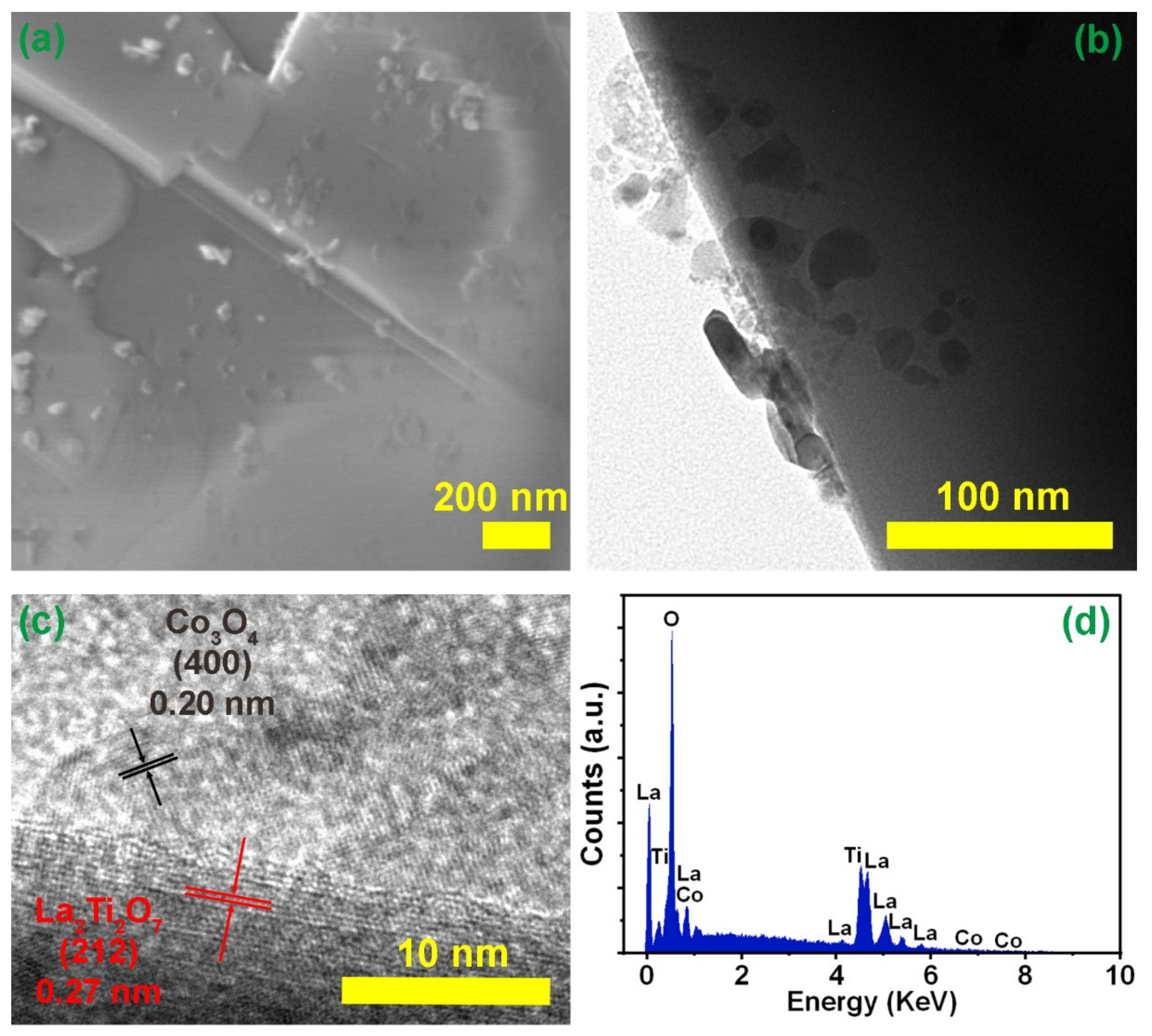 Nanomaterials 12 01695 g003