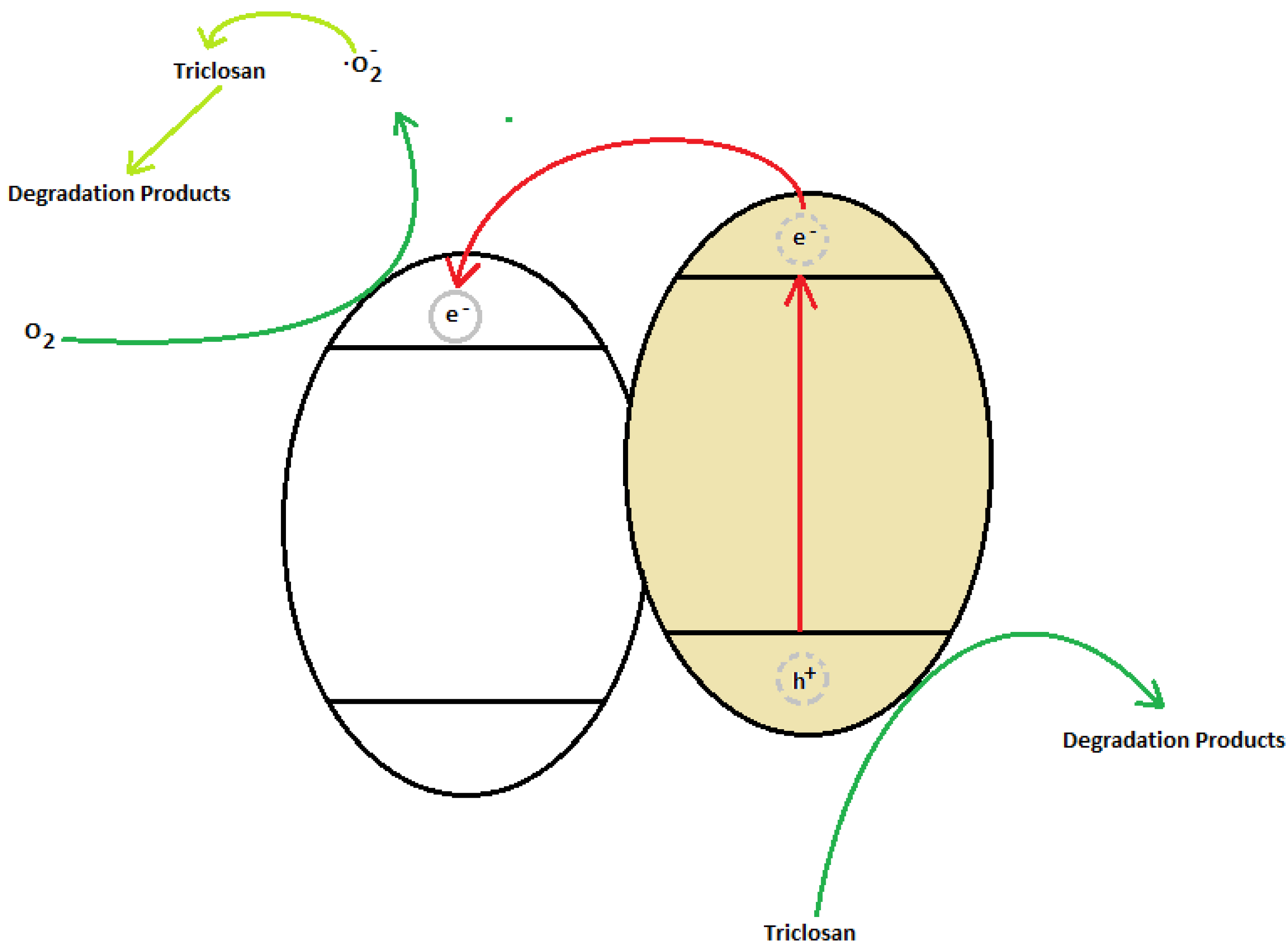 Nanomaterials 12 01969 g008